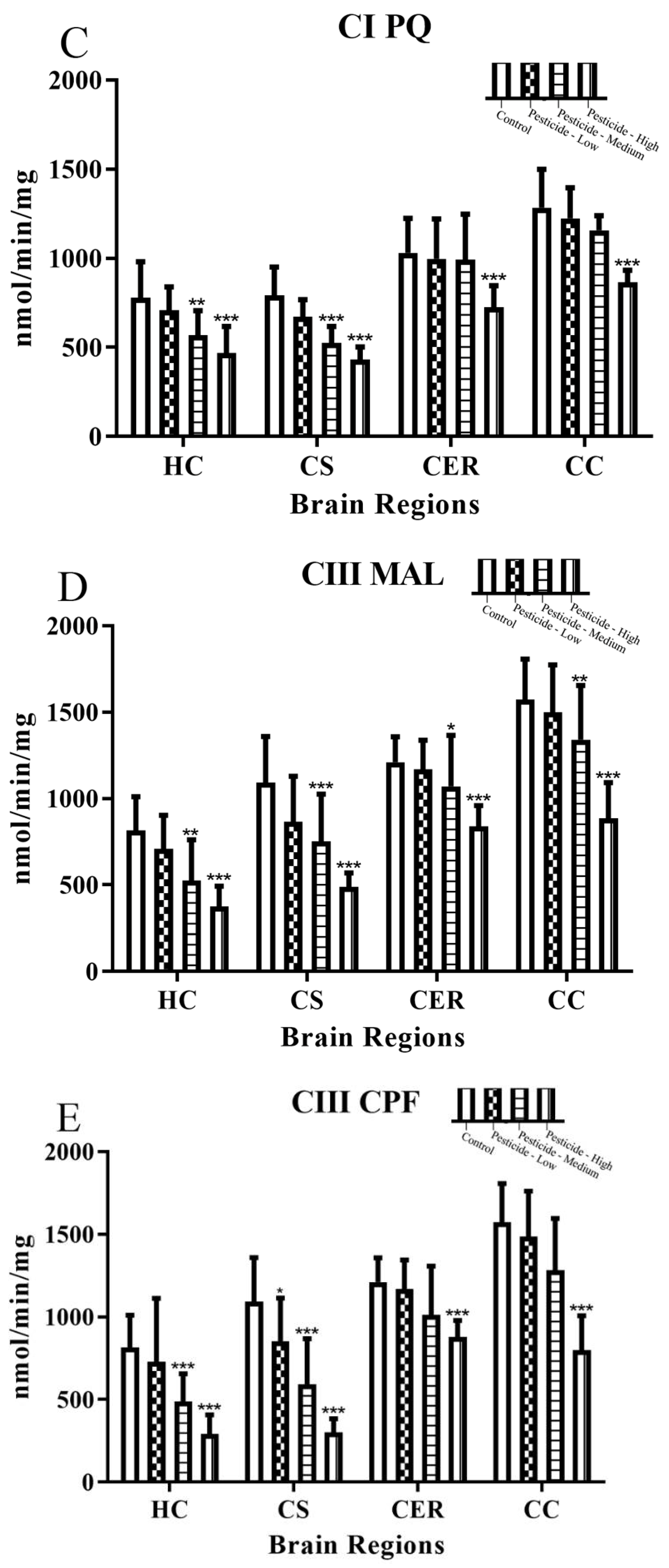 Brainsci 12 00975 g003b