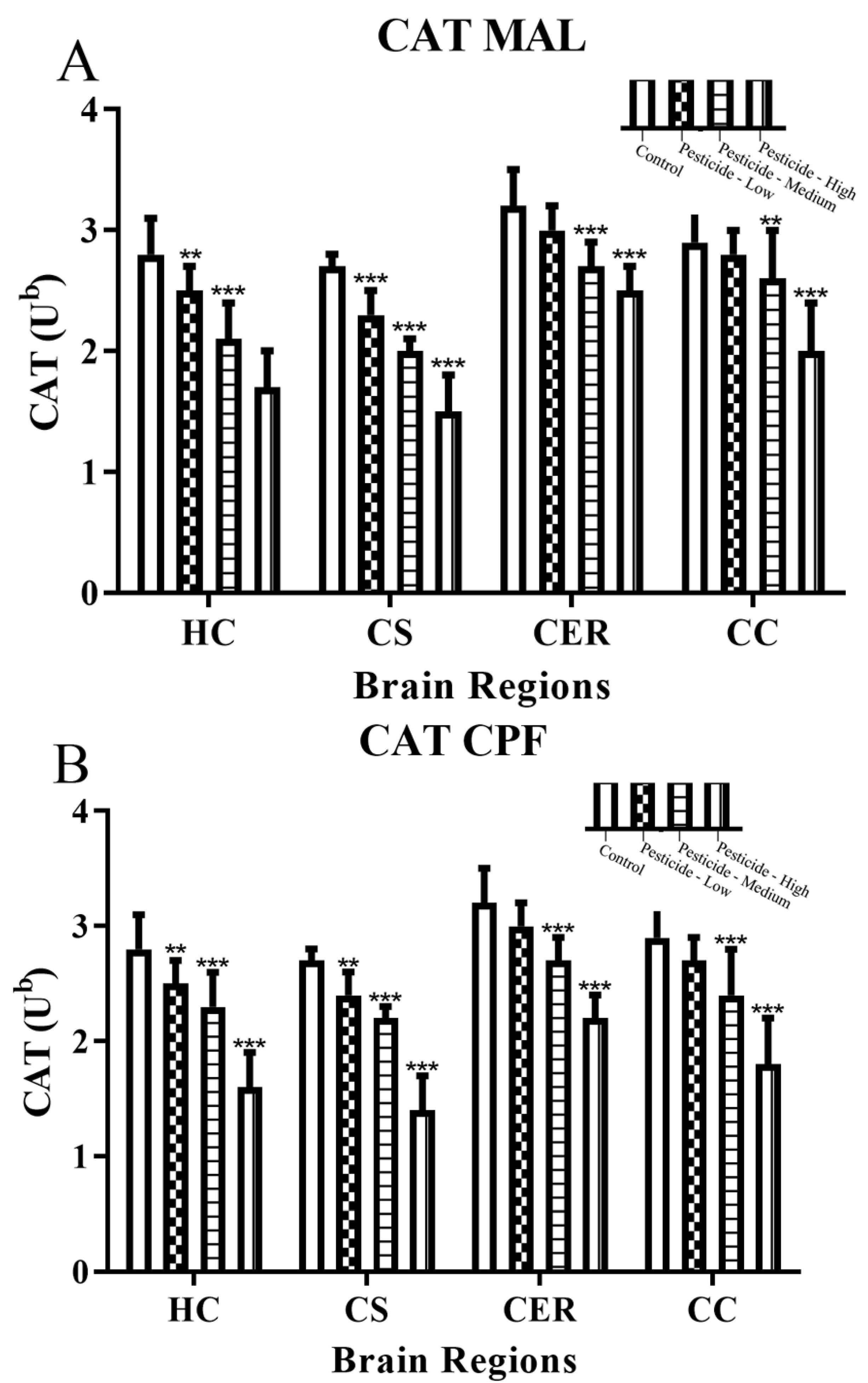 Brainsci 12 00975 g005a