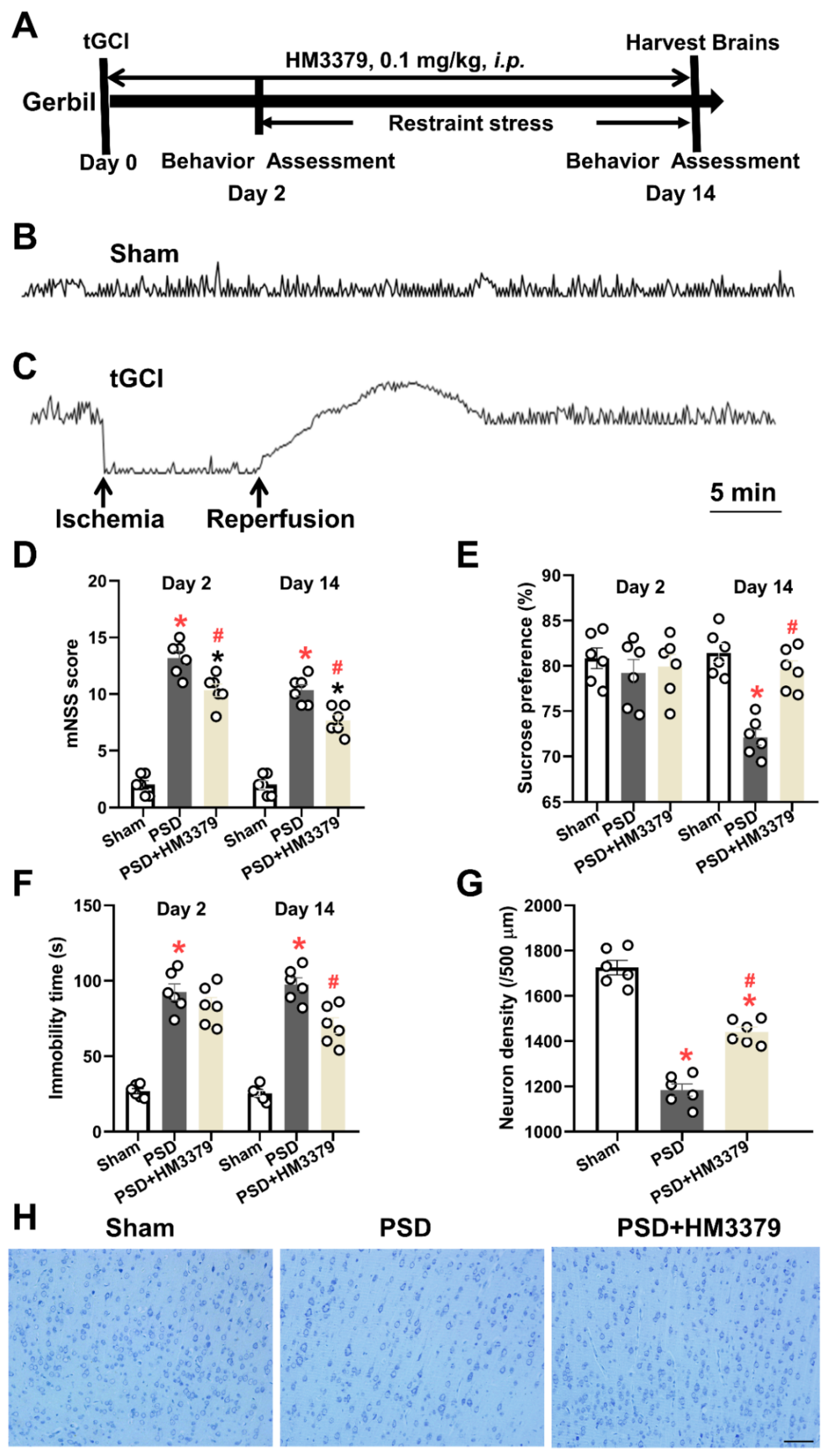 Brainsci 12 00976 g001
