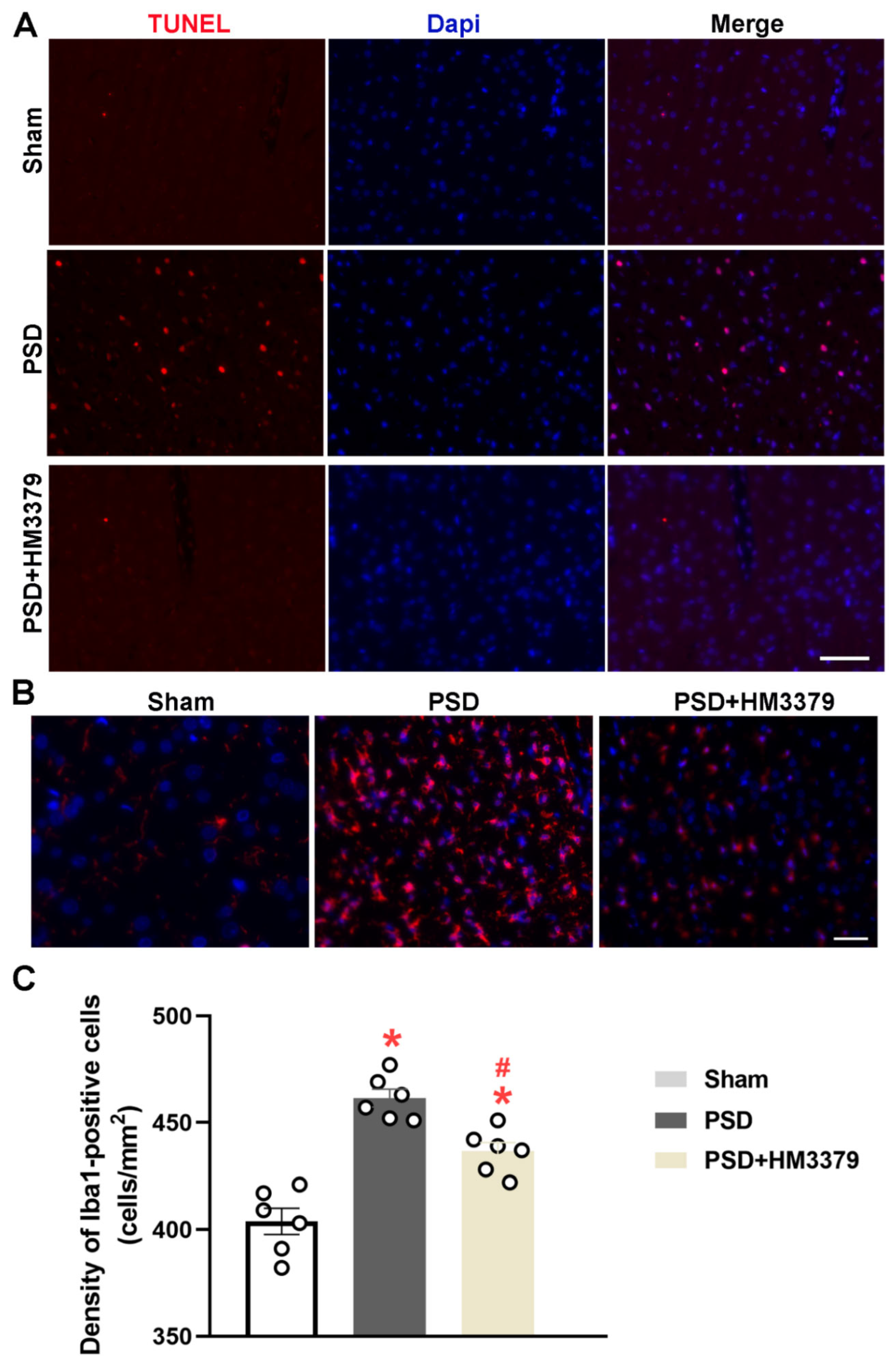 Brainsci 12 00976 g002