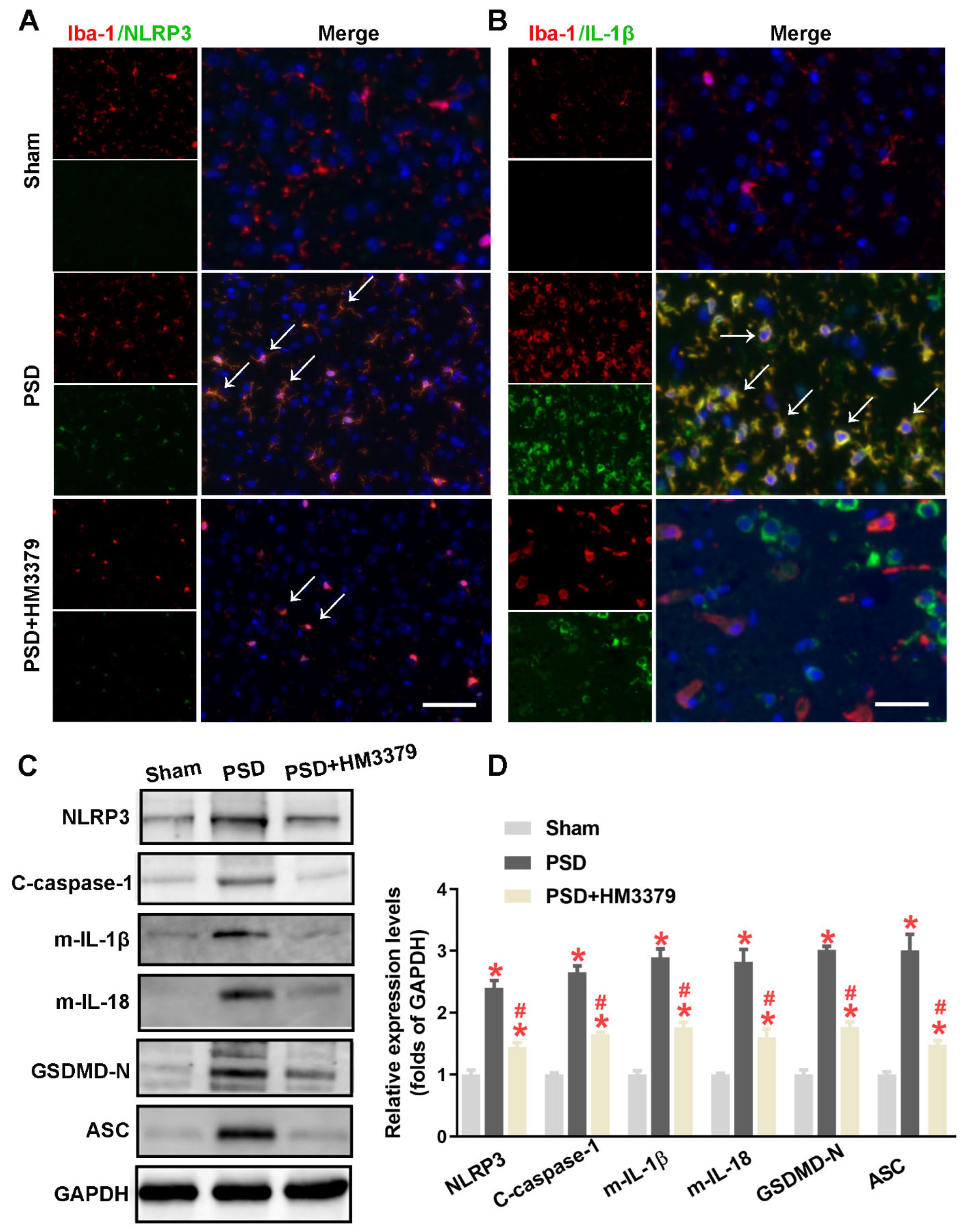 Brainsci 12 00976 g003