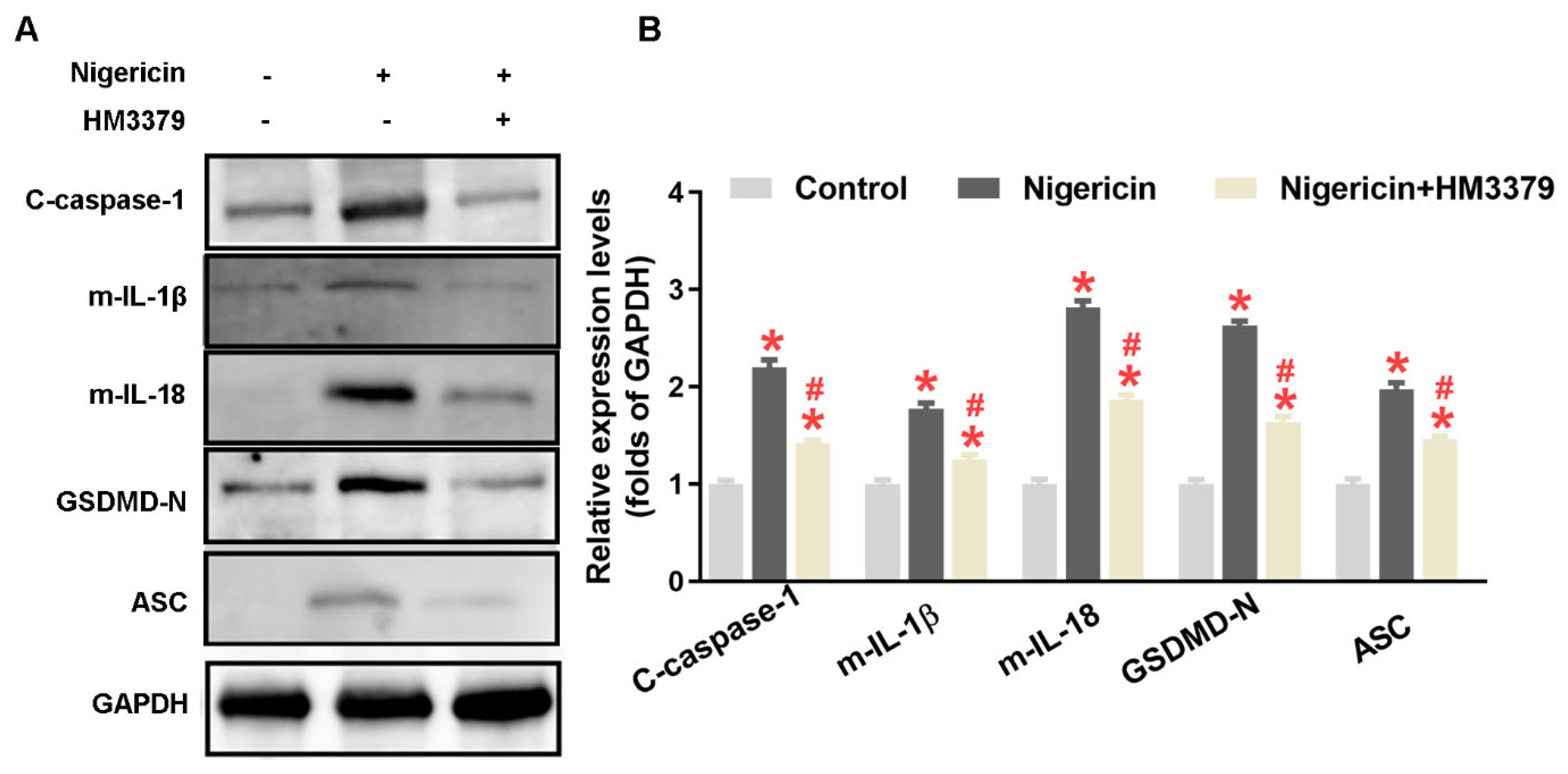 Brainsci 12 00976 g005