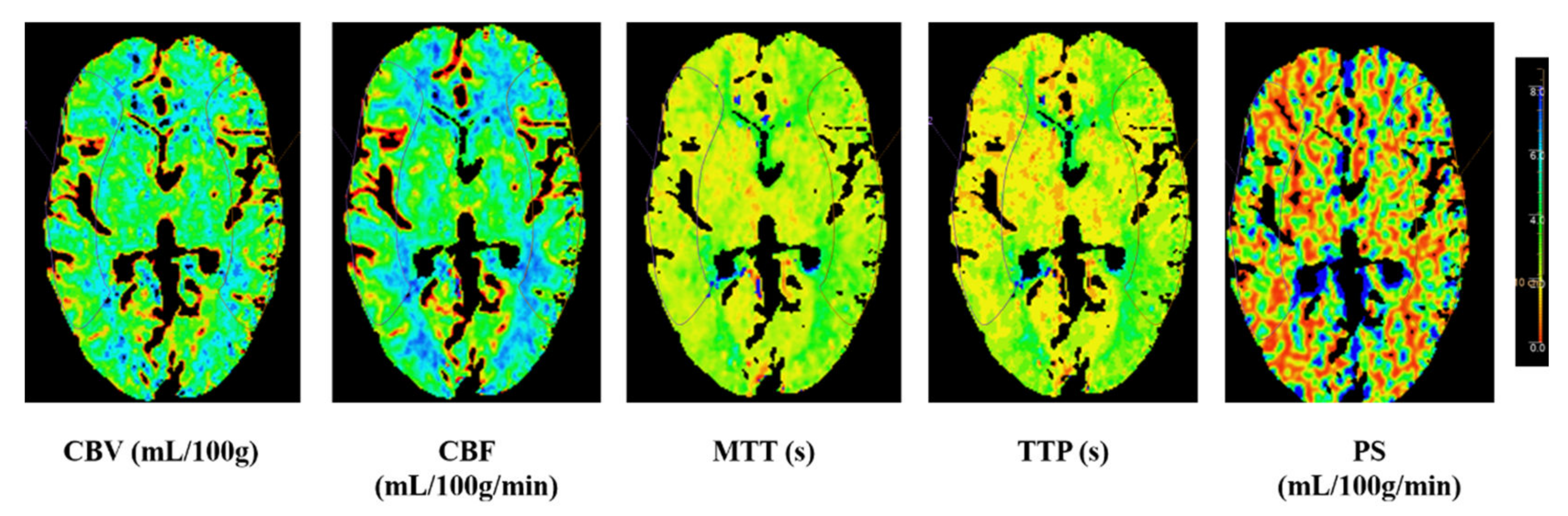 Brainsci 12 00979 g001