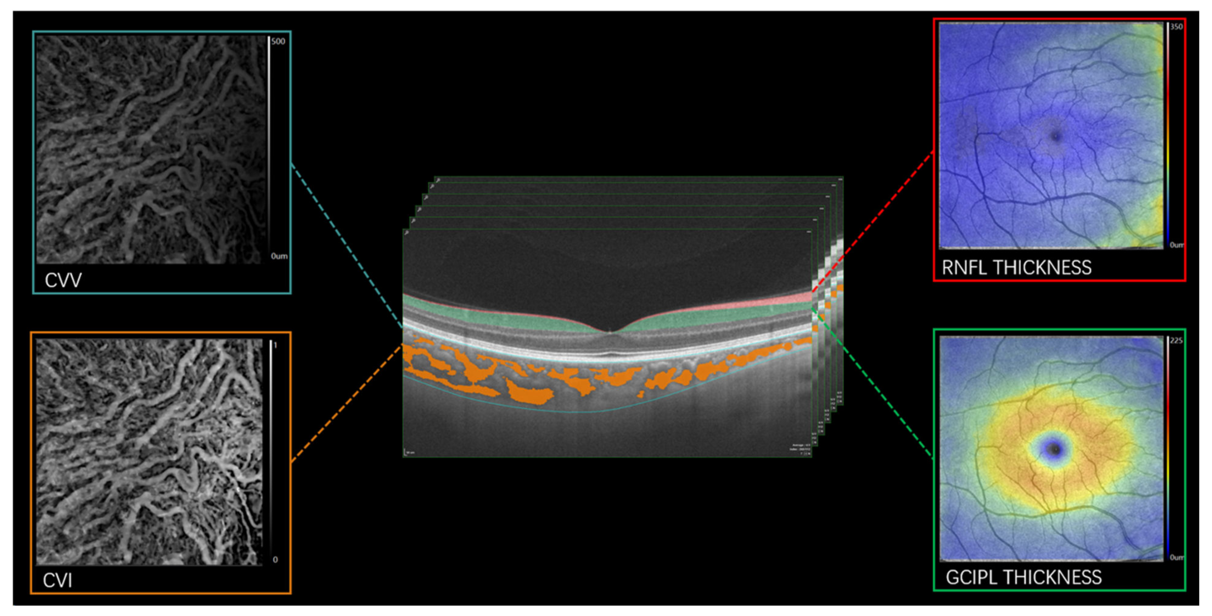 Brainsci 12 00979 g002