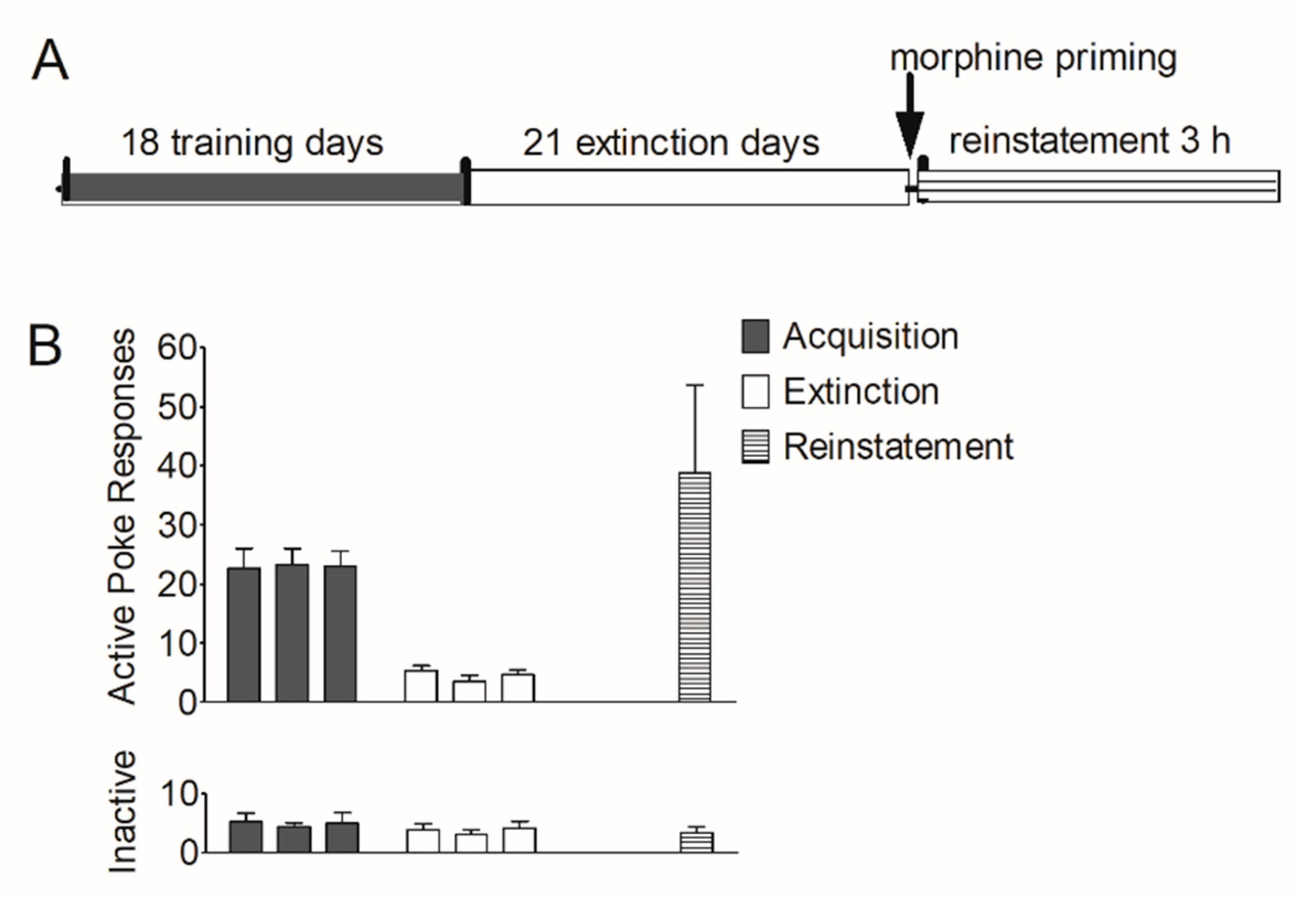 Brainsci 12 00985 g001