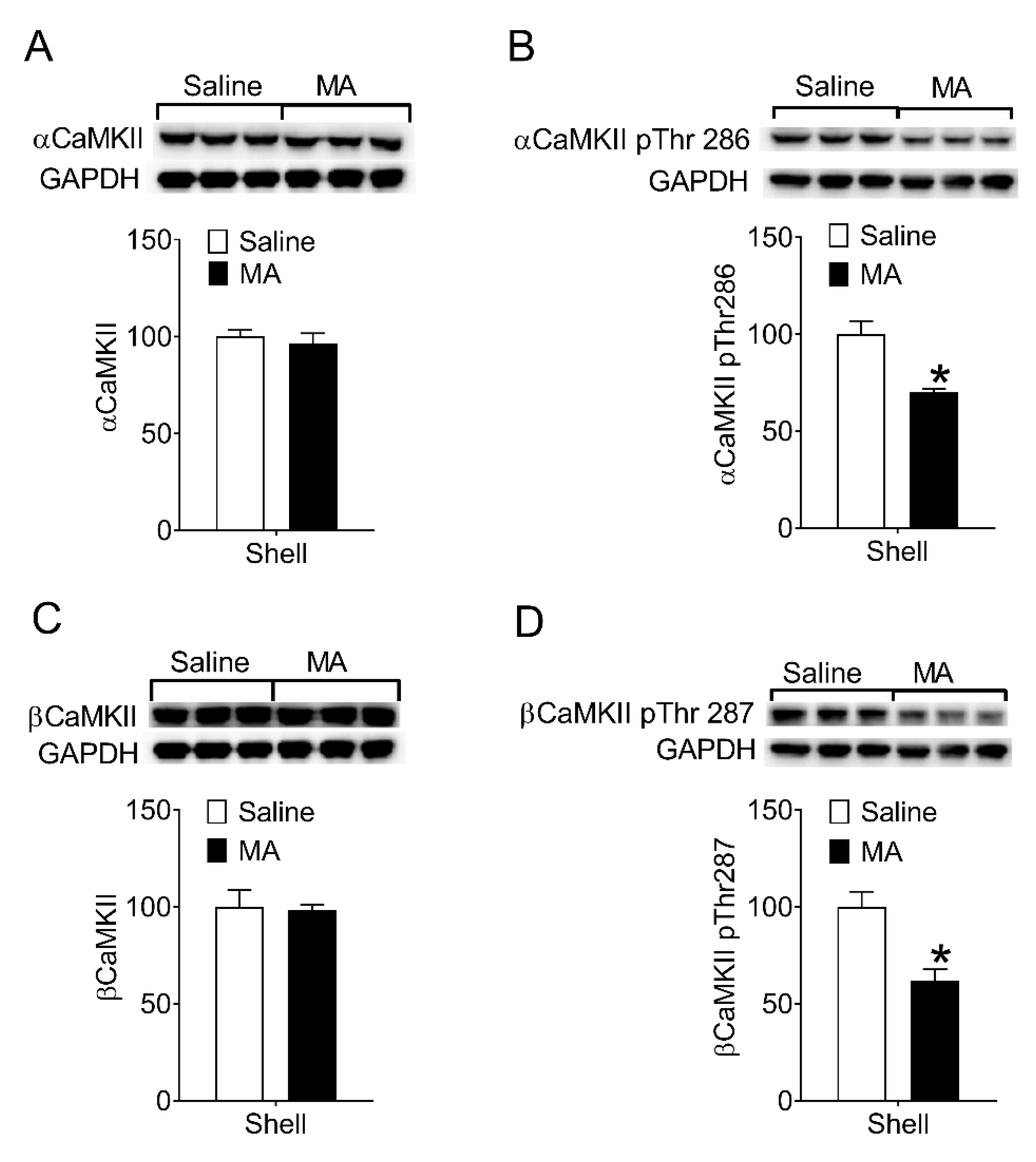 Brainsci 12 00985 g004