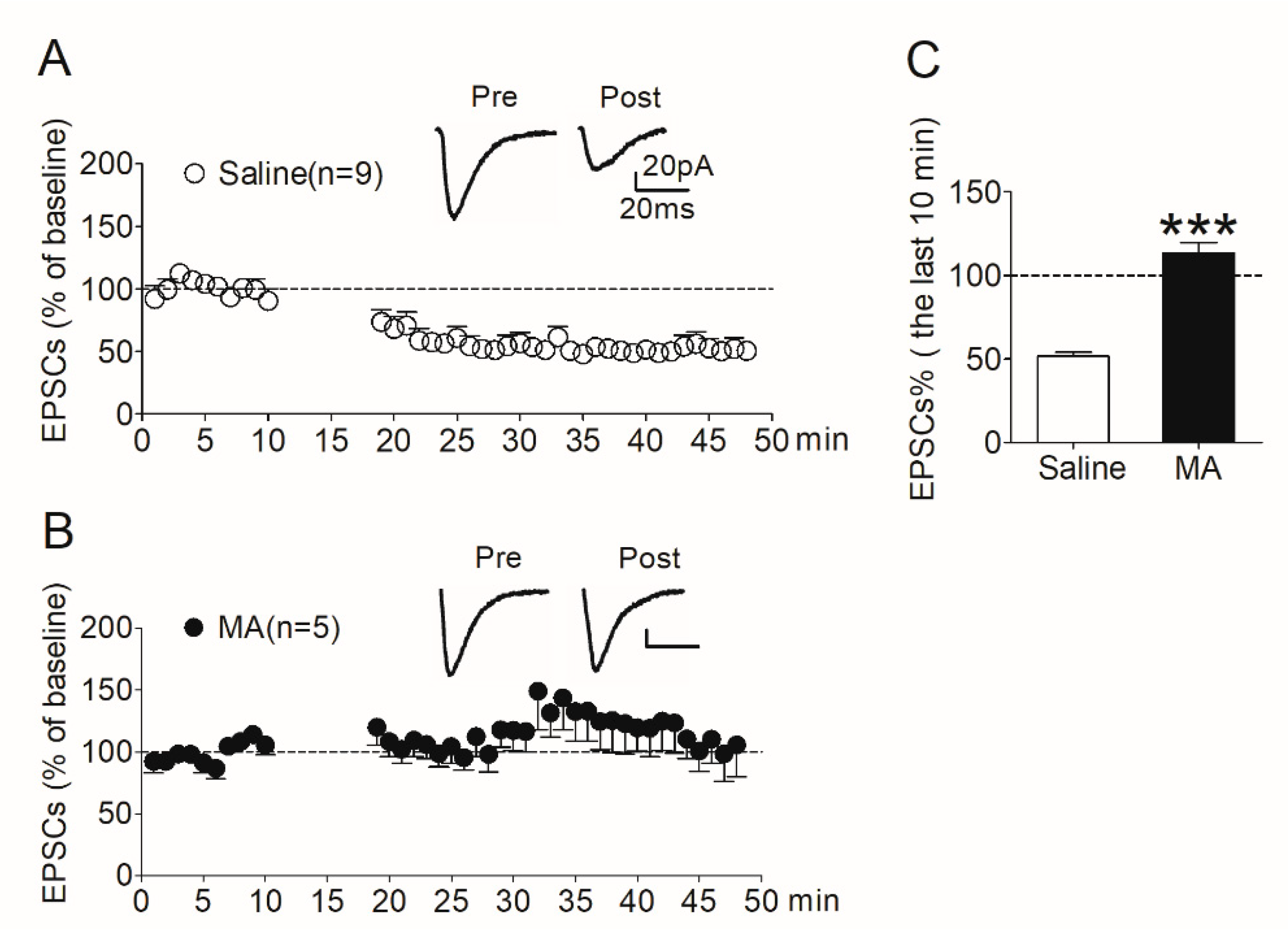 Brainsci 12 00985 g005