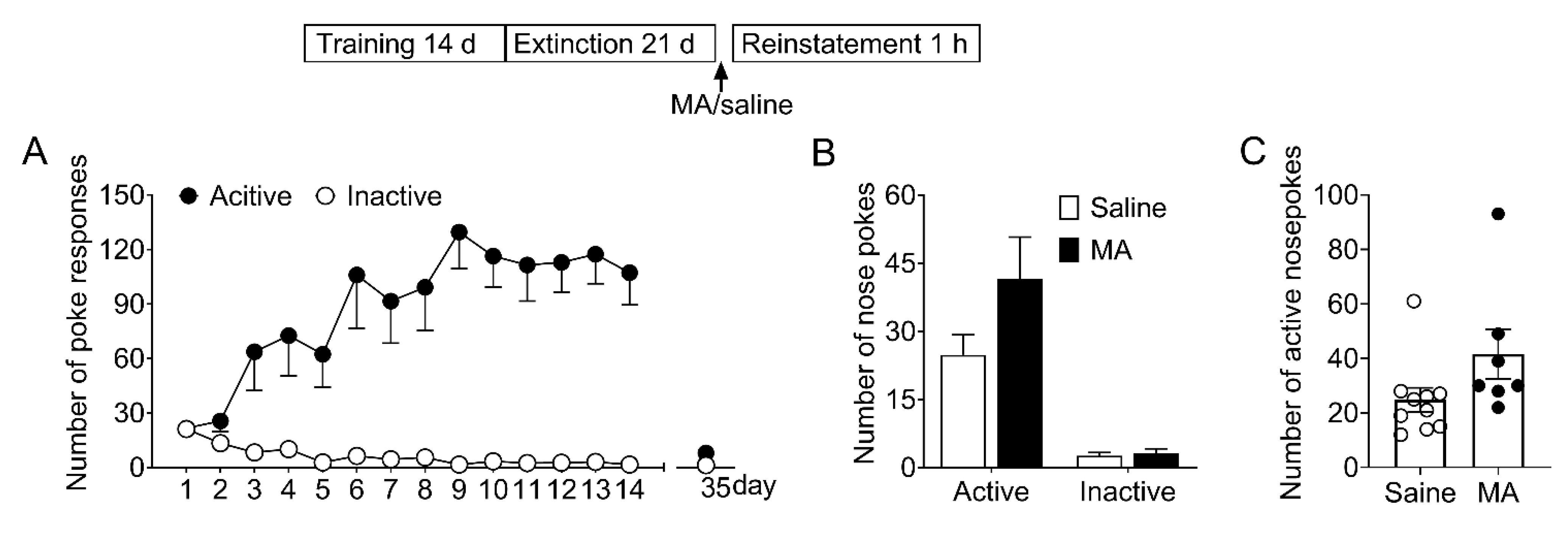 Brainsci 12 00985 g006