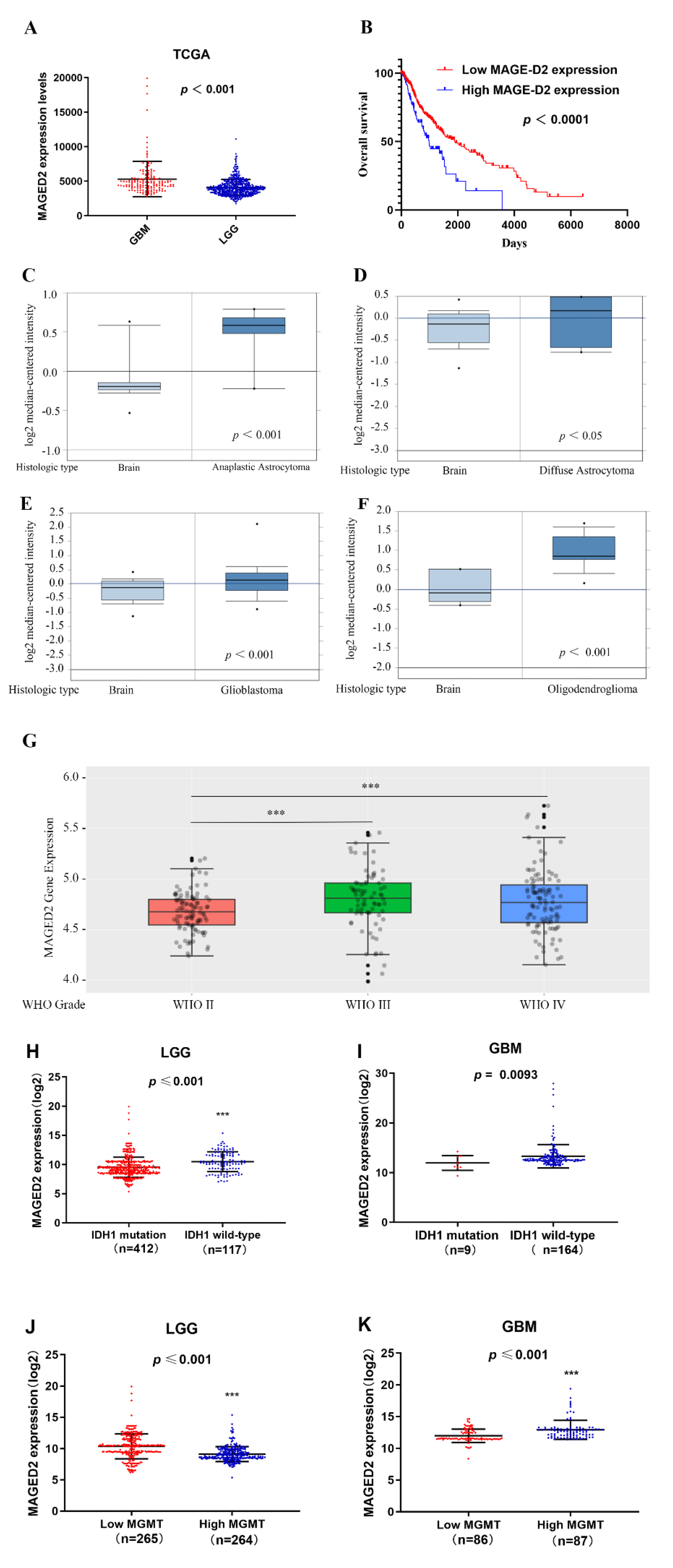 Brainsci 12 00986 g001