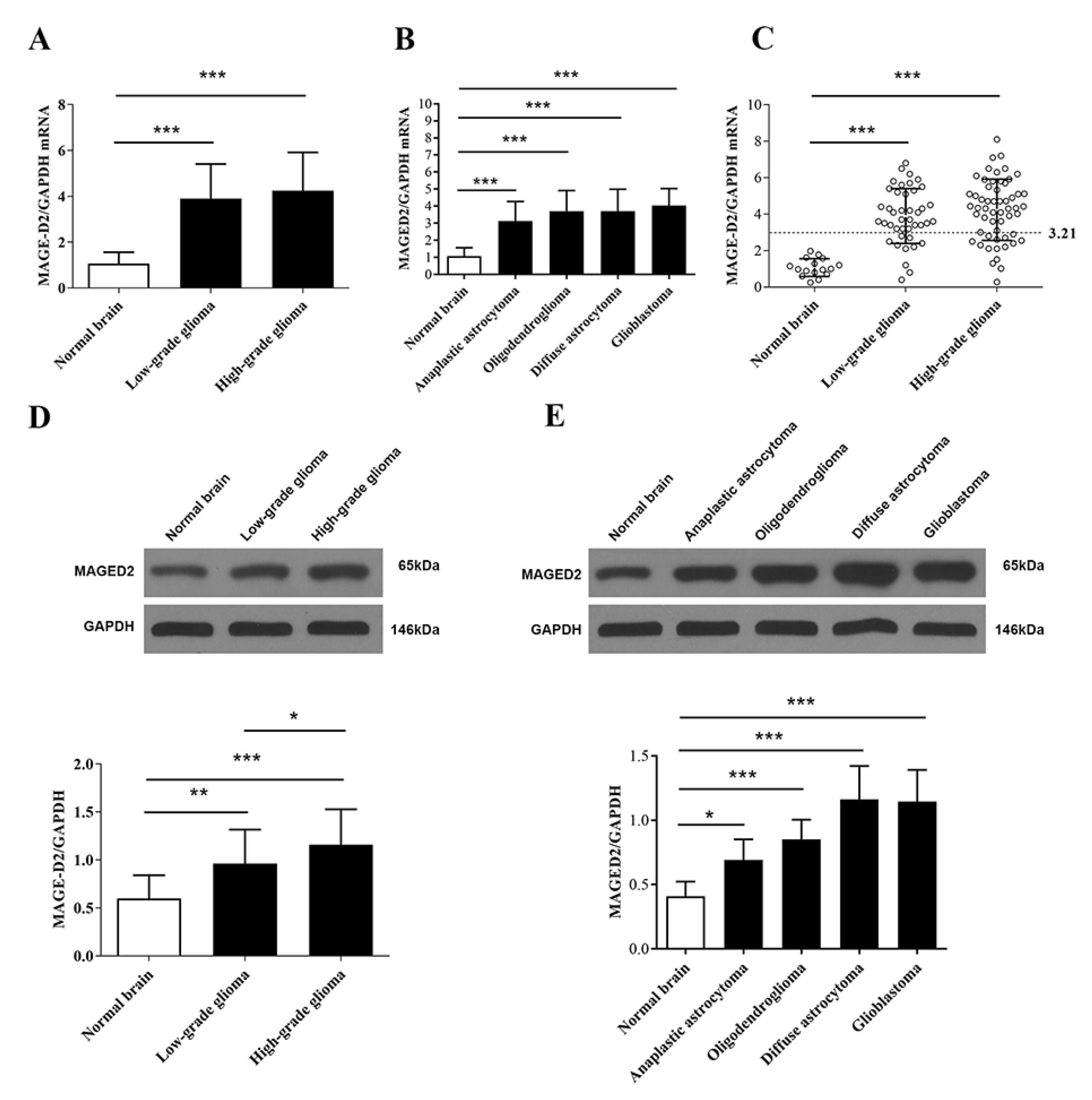 Brainsci 12 00986 g002