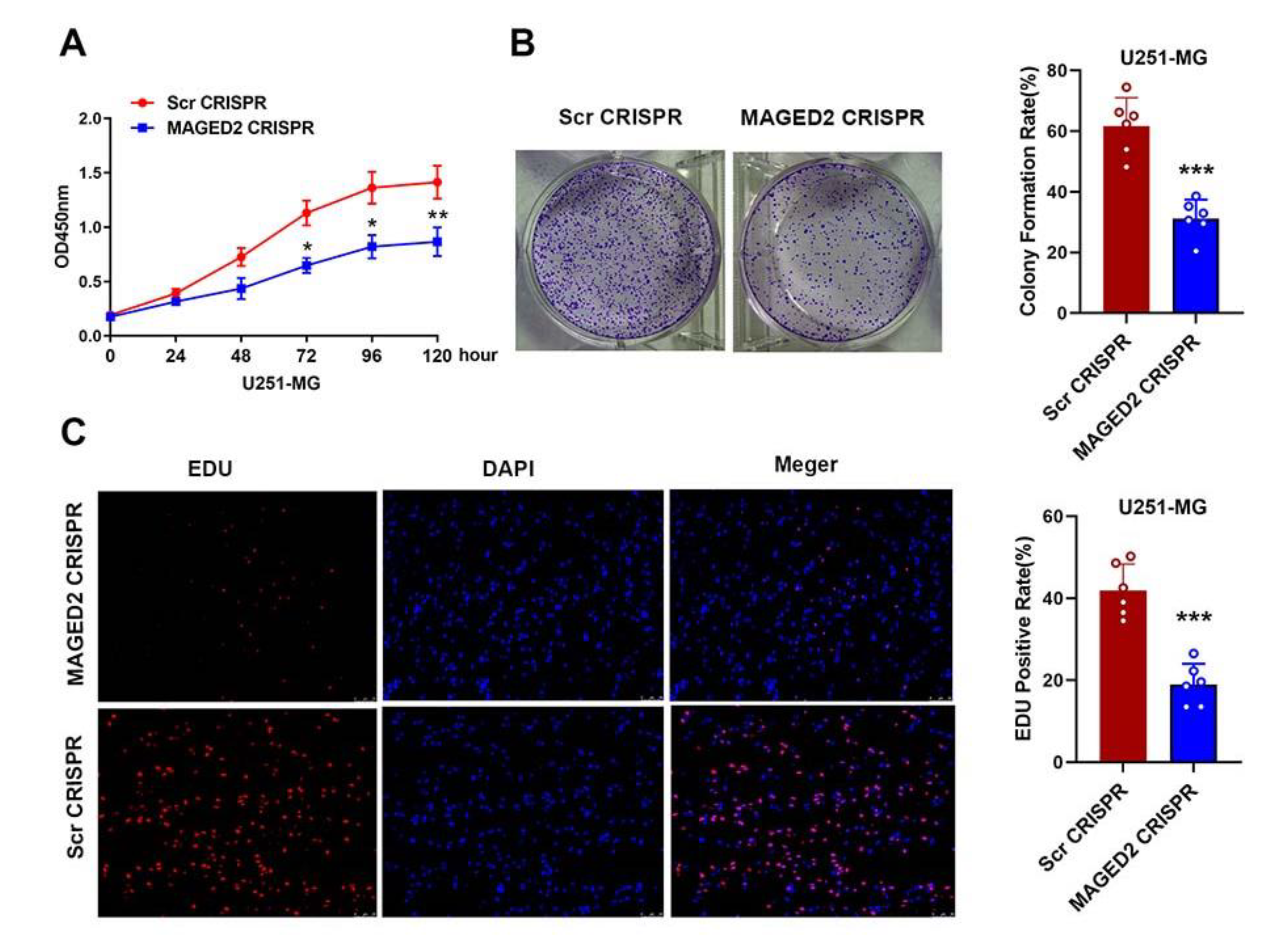 Brainsci 12 00986 g006