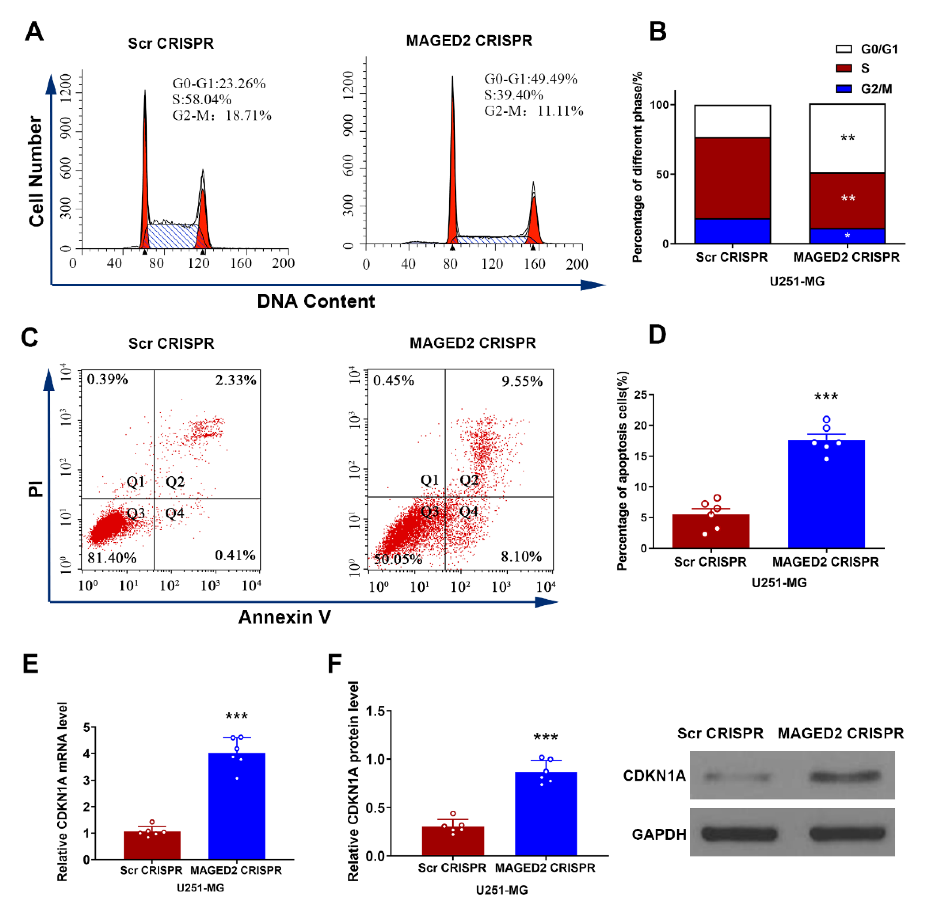 Brainsci 12 00986 g007