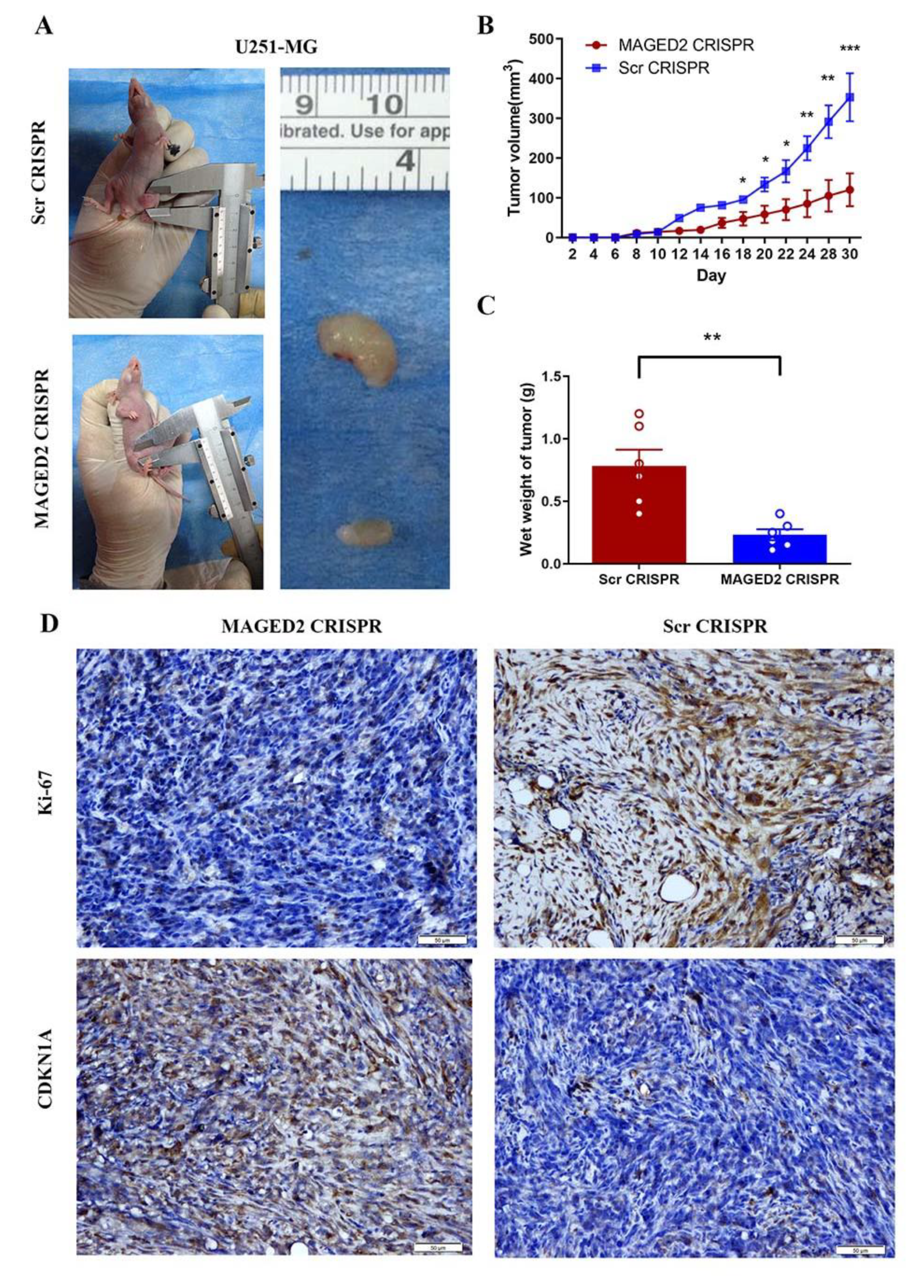 Brainsci 12 00986 g008