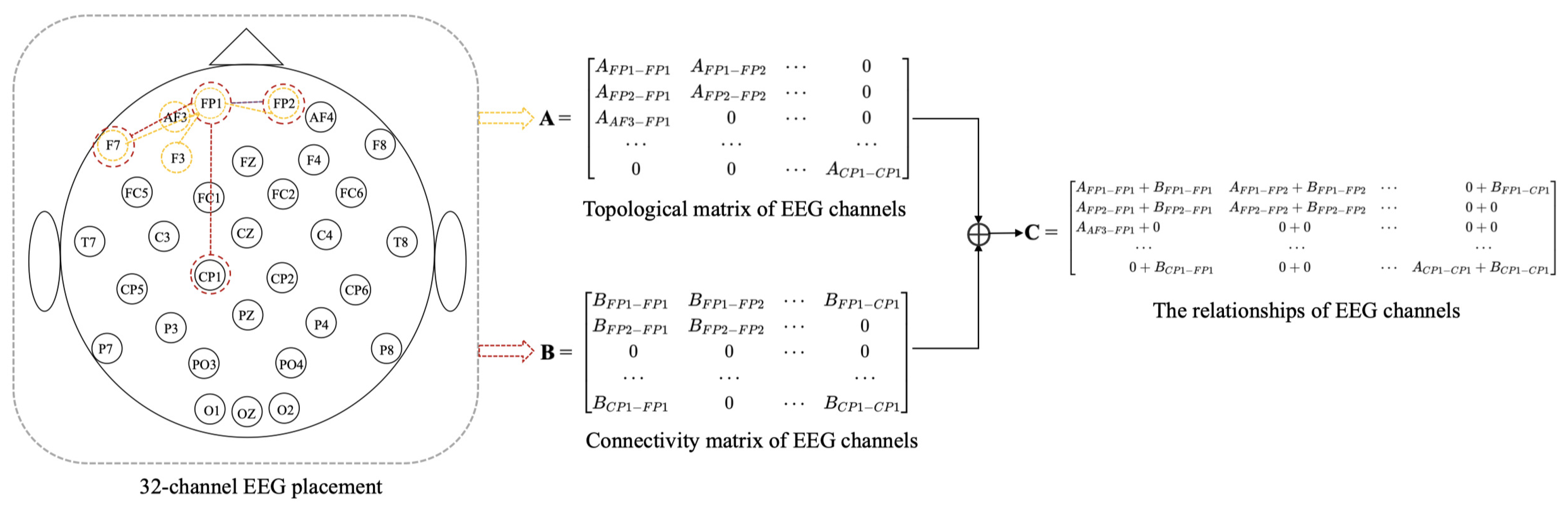 Brainsci 12 00987 g002