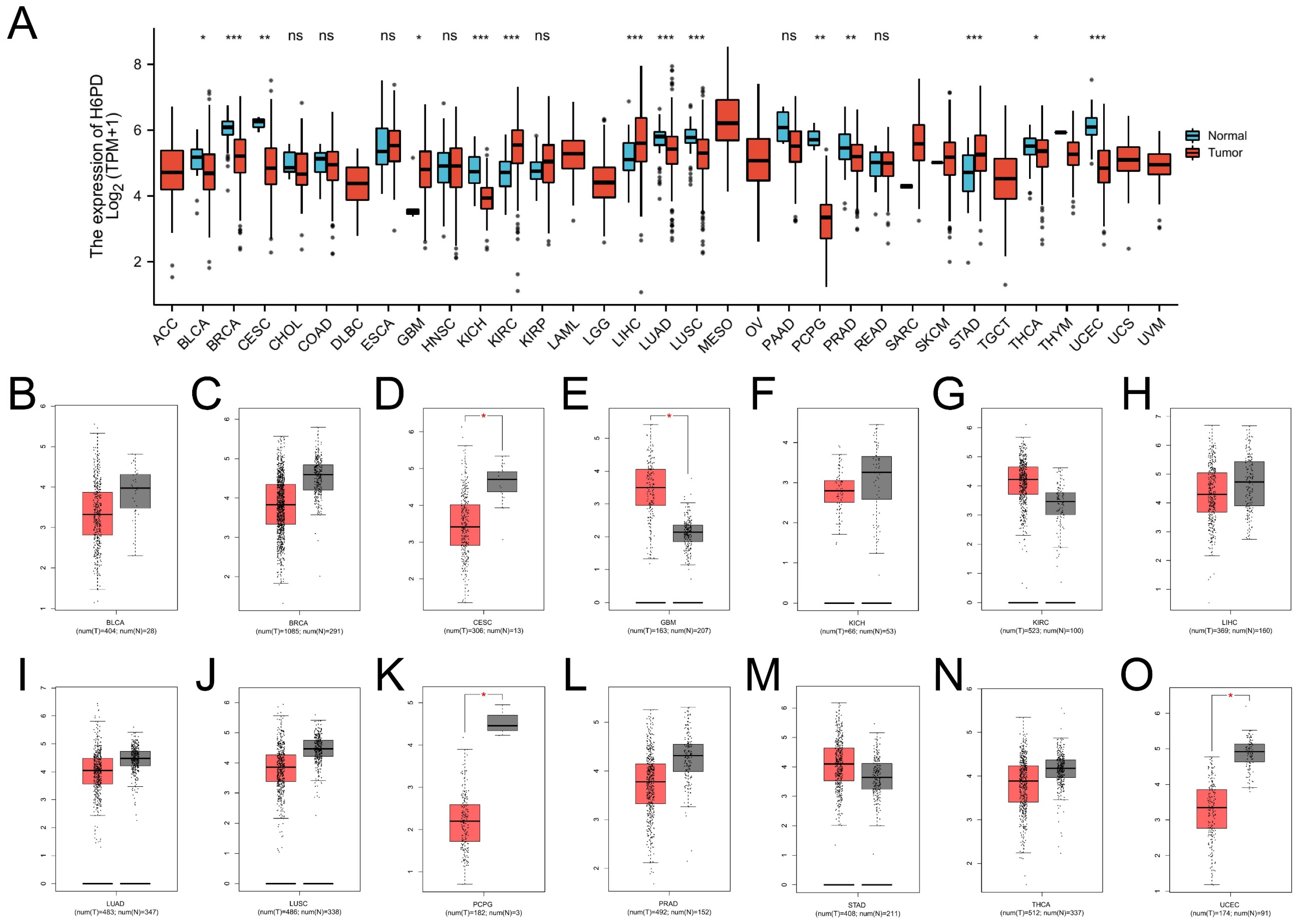 Brainsci 12 01012 g001