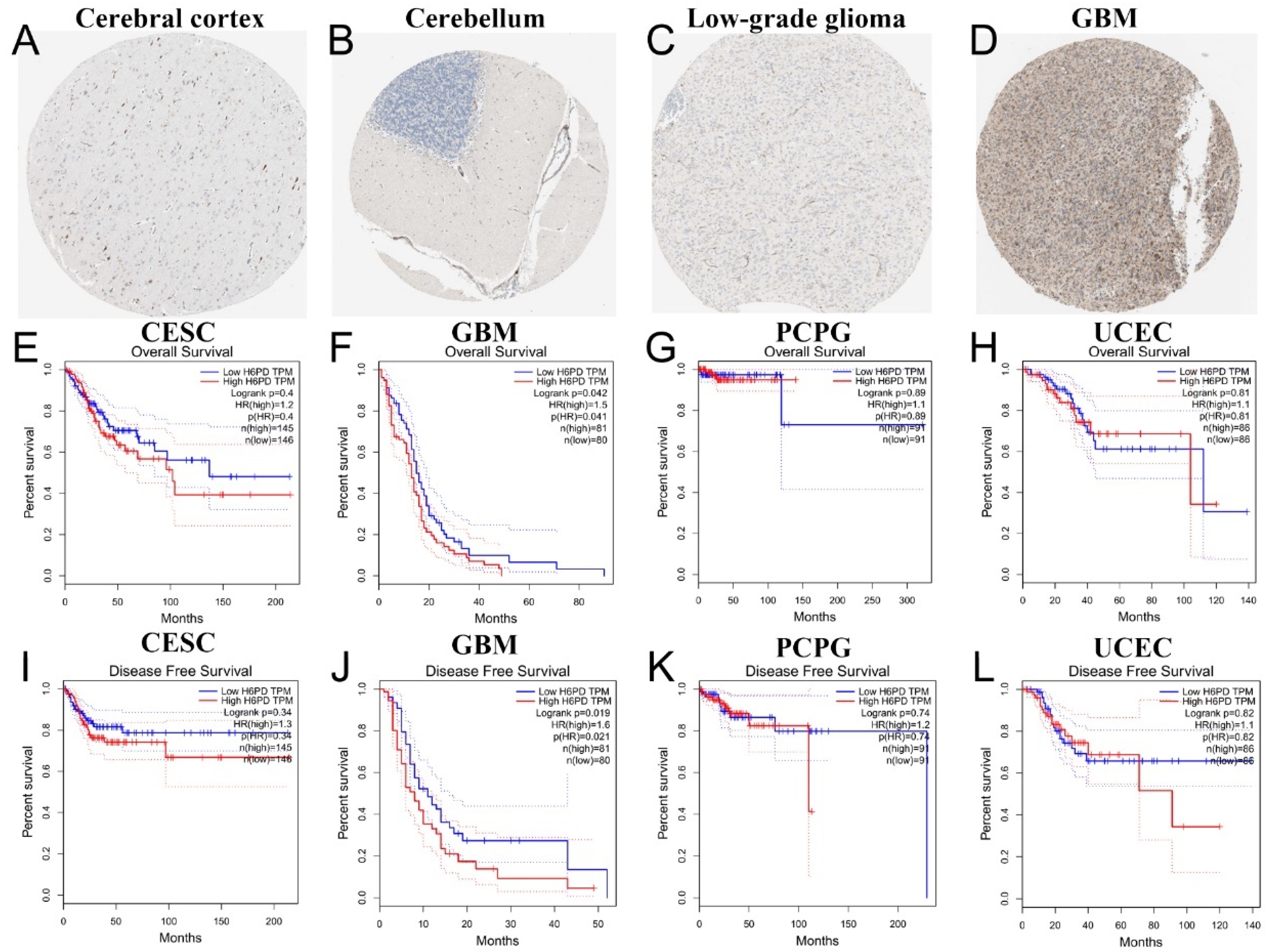 Brainsci 12 01012 g002