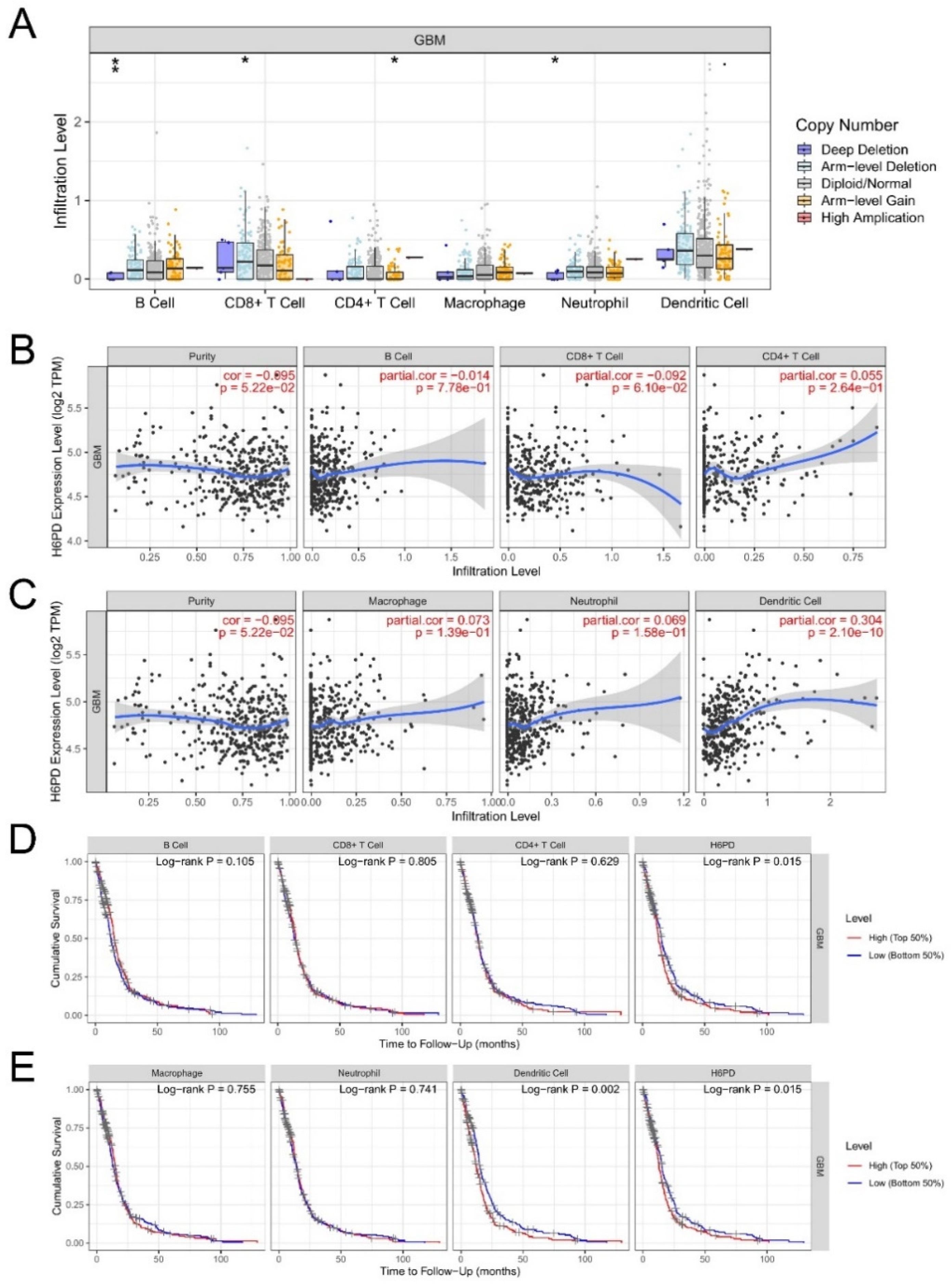 Brainsci 12 01012 g004