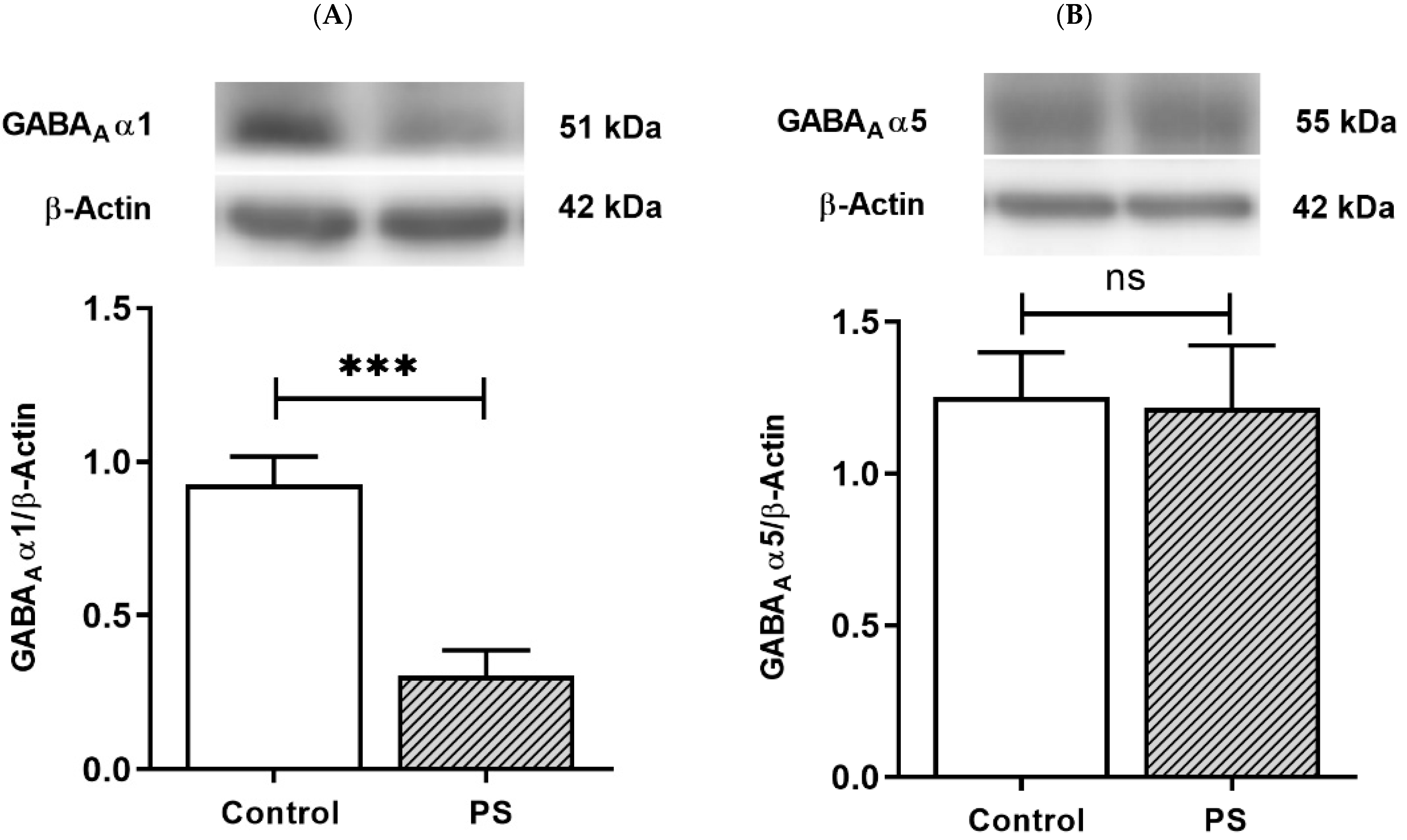 Brainsci 12 01015 g003