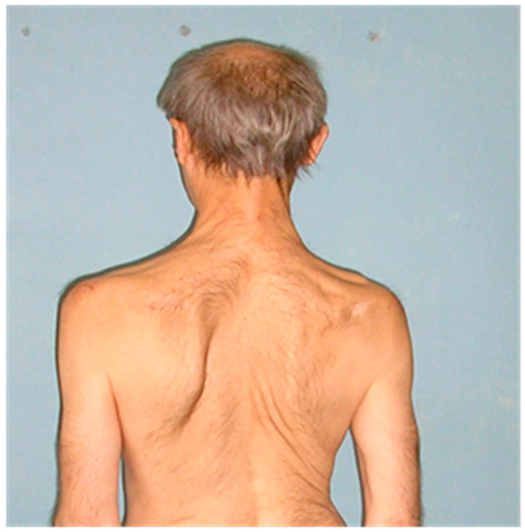 Brainsci 12 01020 g001