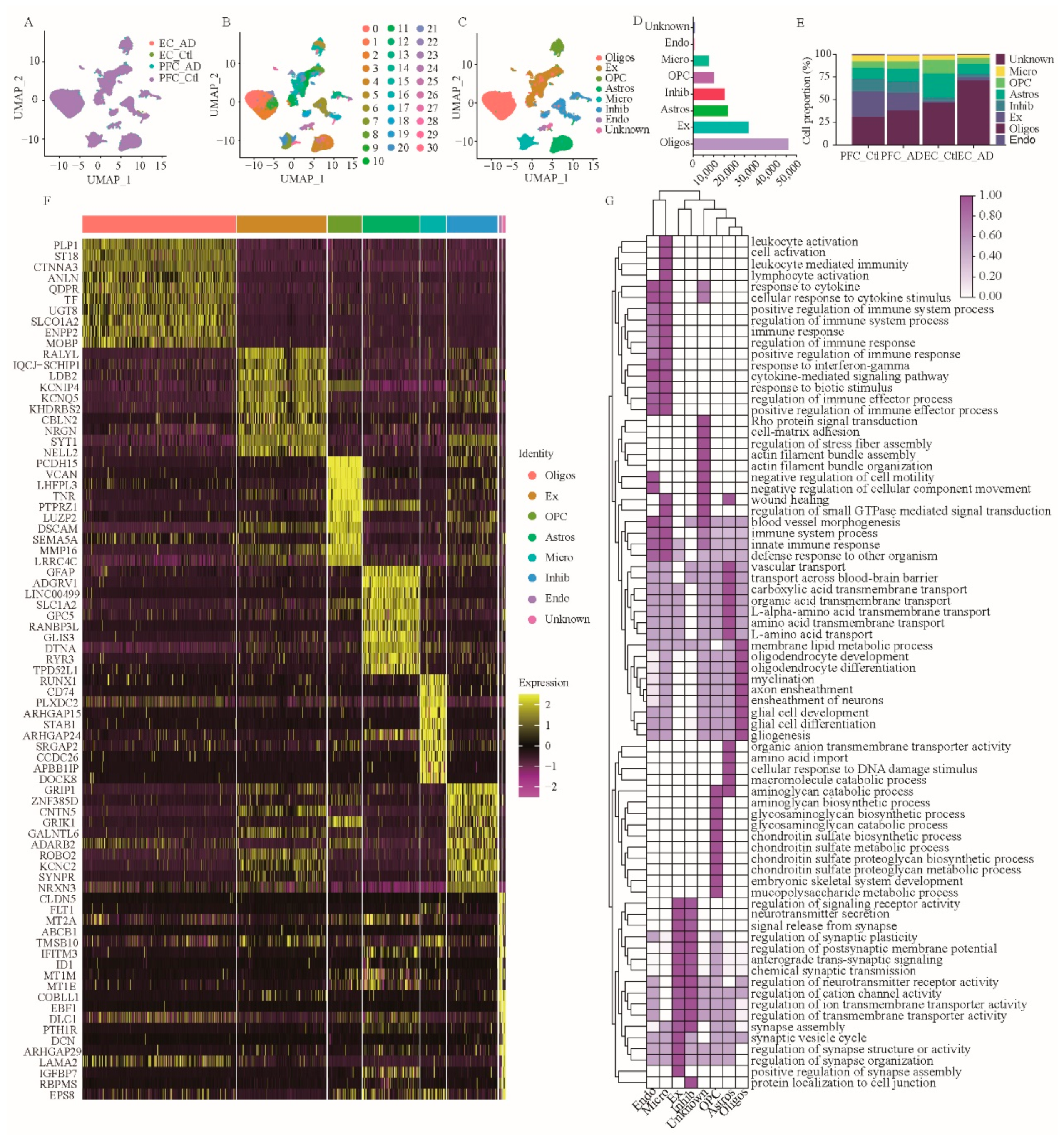 Brainsci 12 01022 g001 Brainsci 12 01022 g001