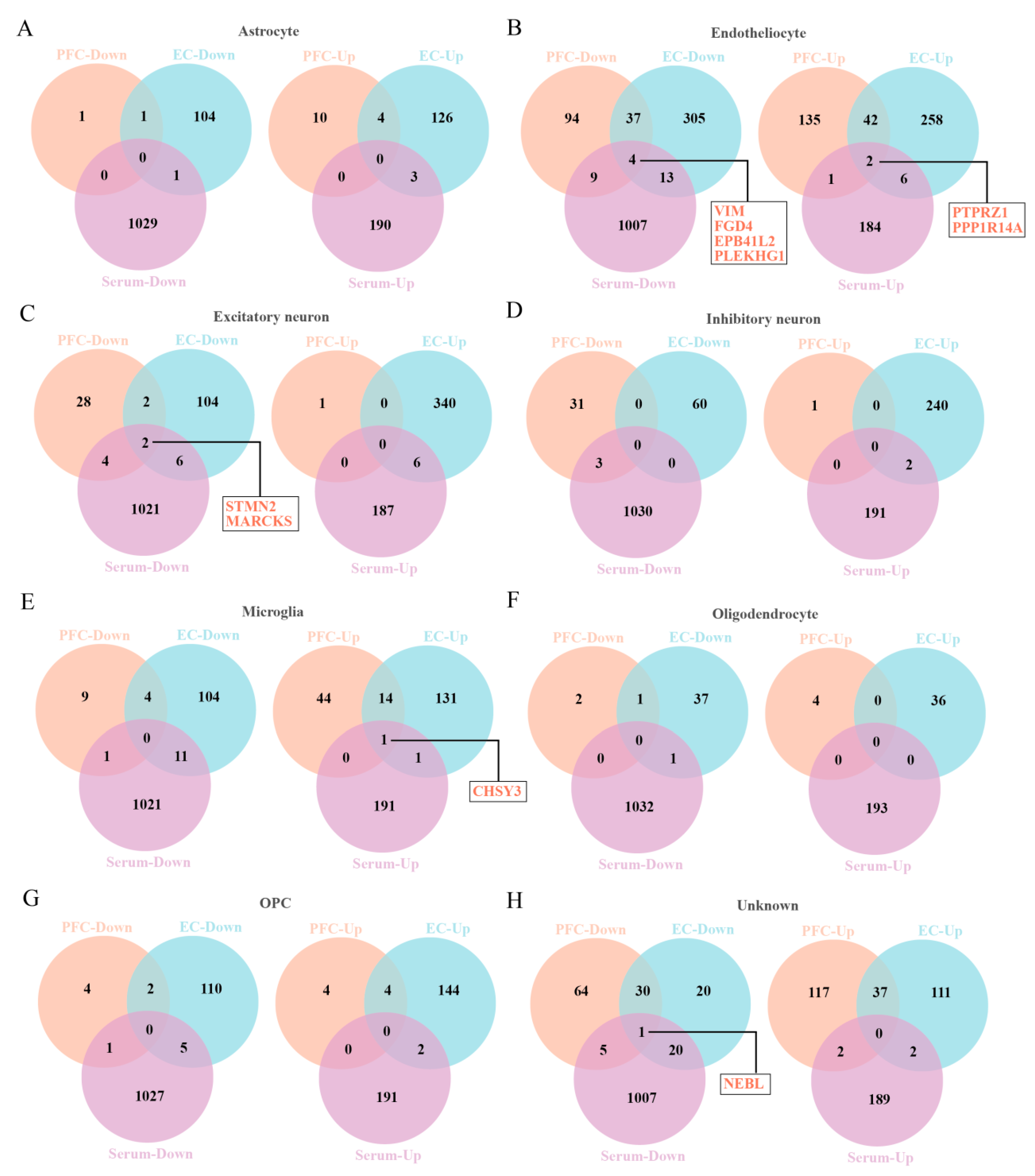 Brainsci 12 01022 g002 Brainsci 12 01022 g002