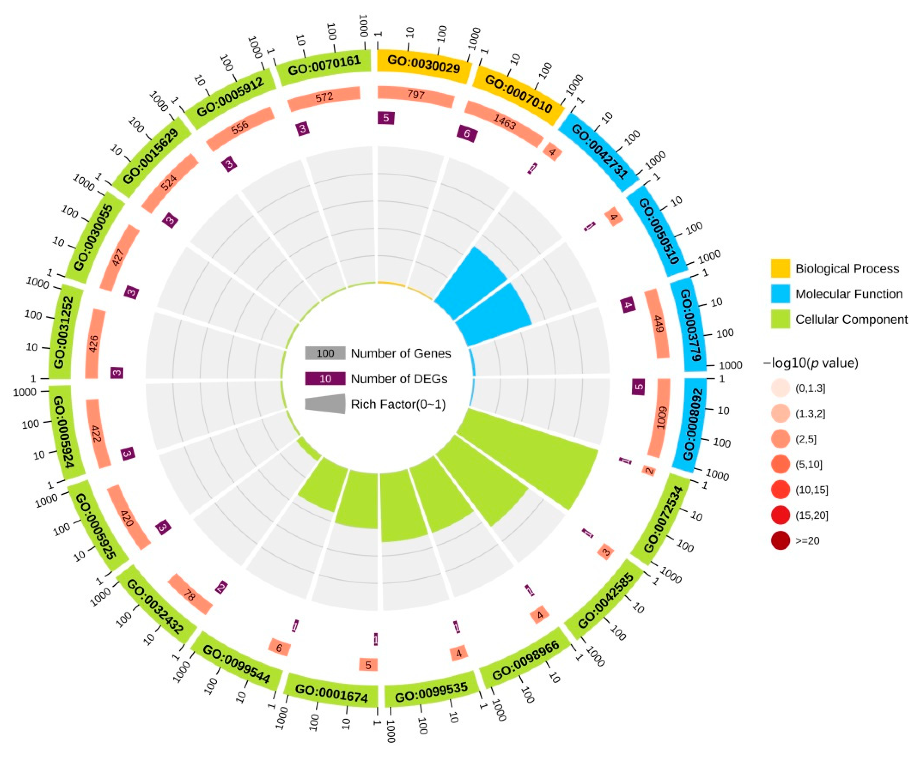 Brainsci 12 01022 g003 Brainsci 12 01022 g003