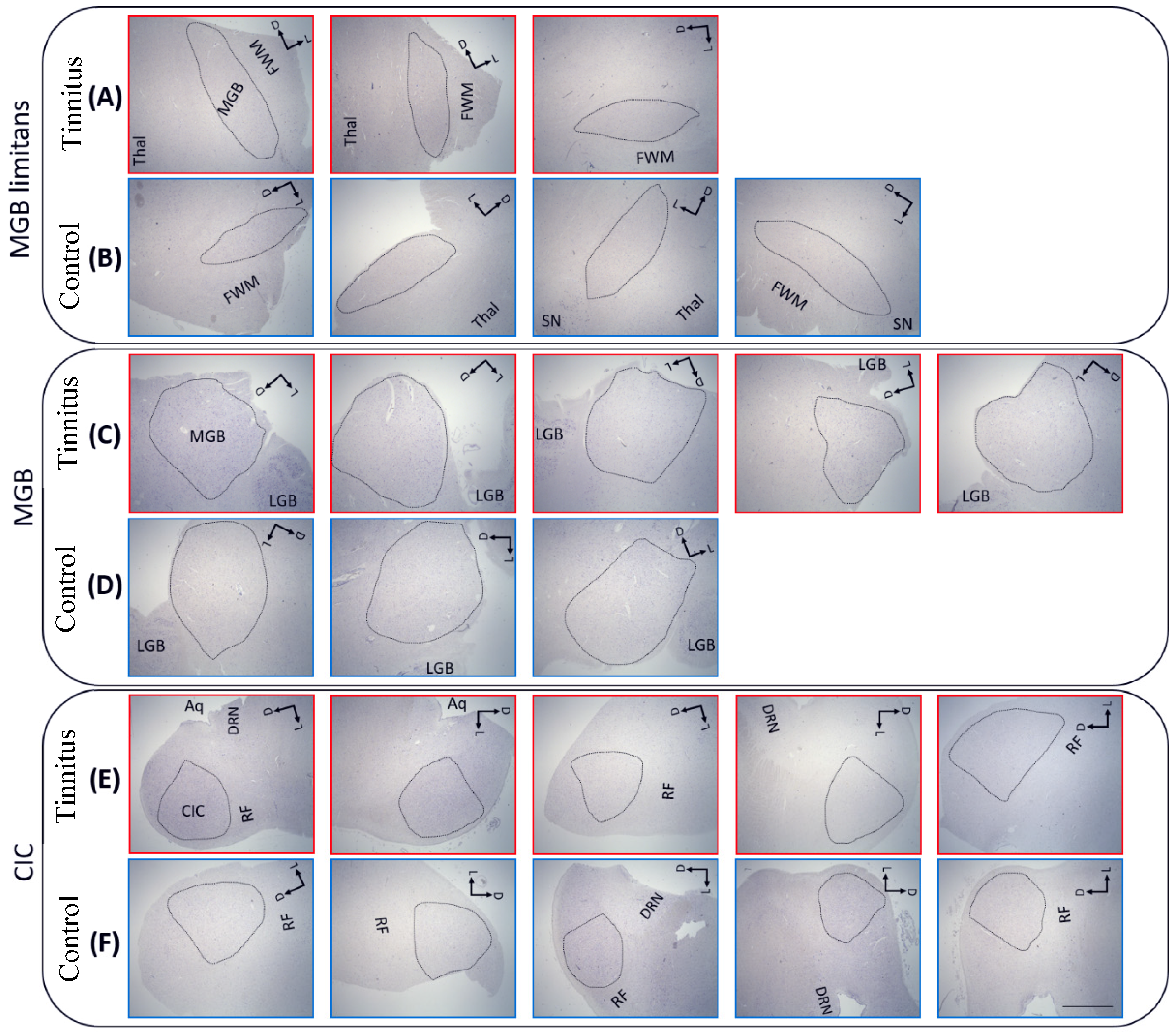 Brainsci 12 01024 g001