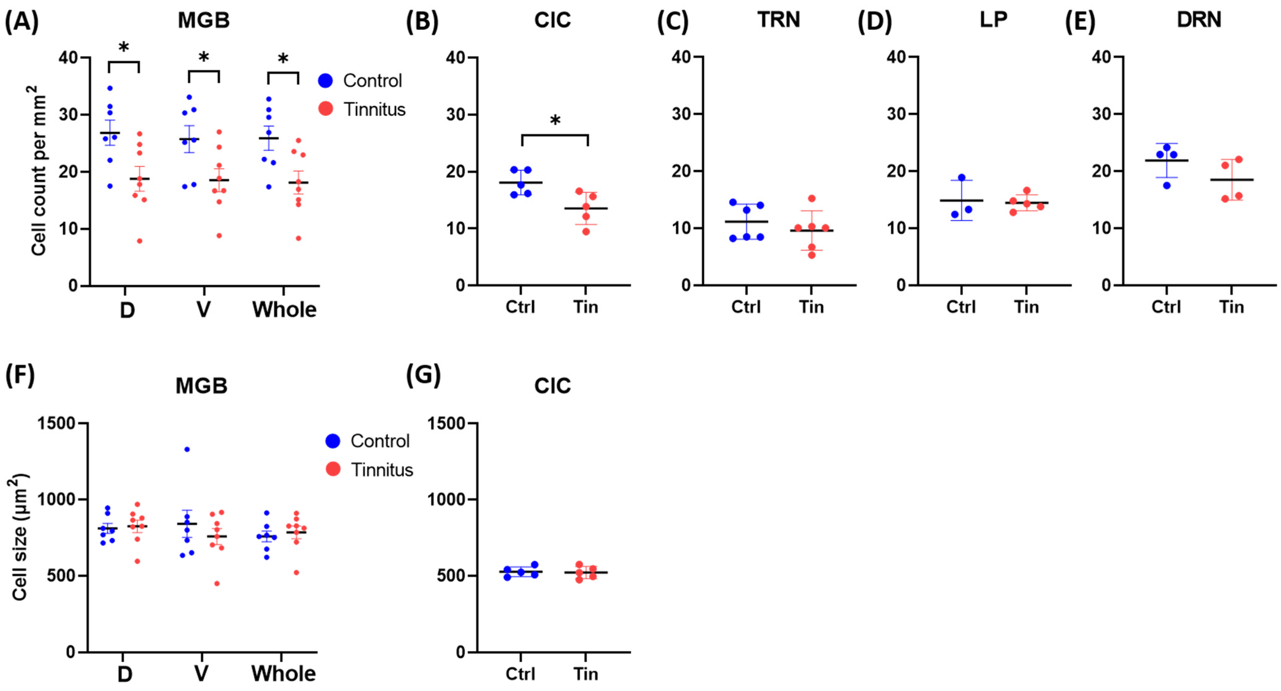 Brainsci 12 01024 g002