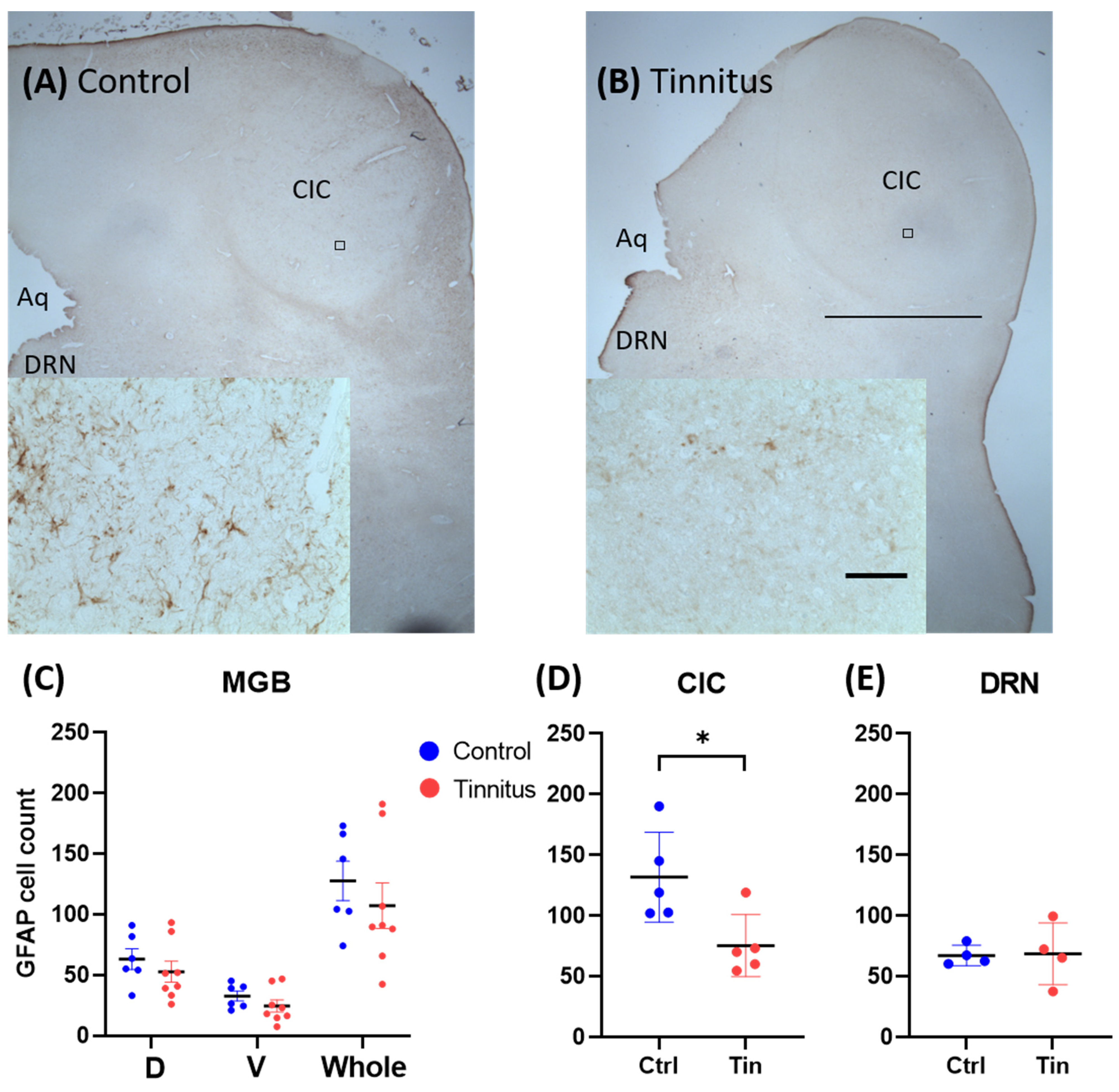Brainsci 12 01024 g003