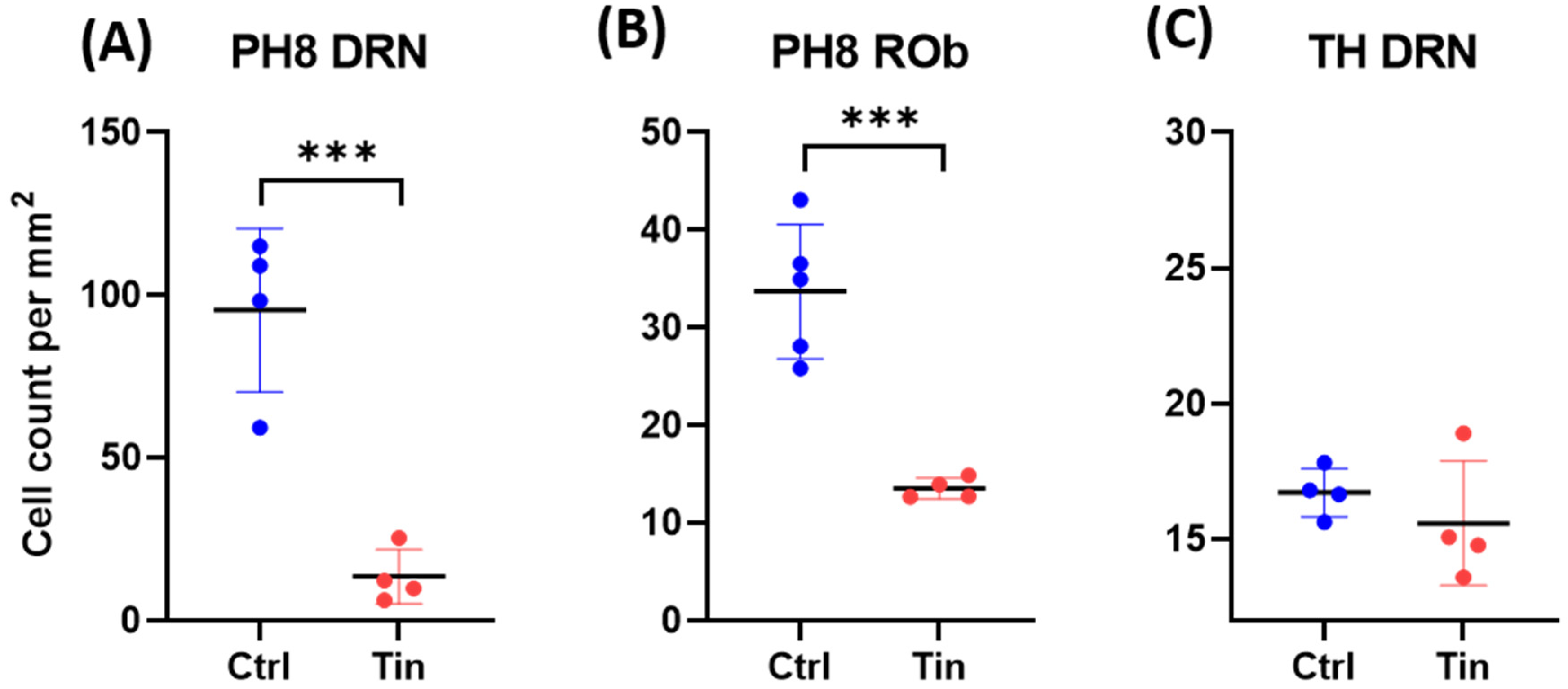 Brainsci 12 01024 g006