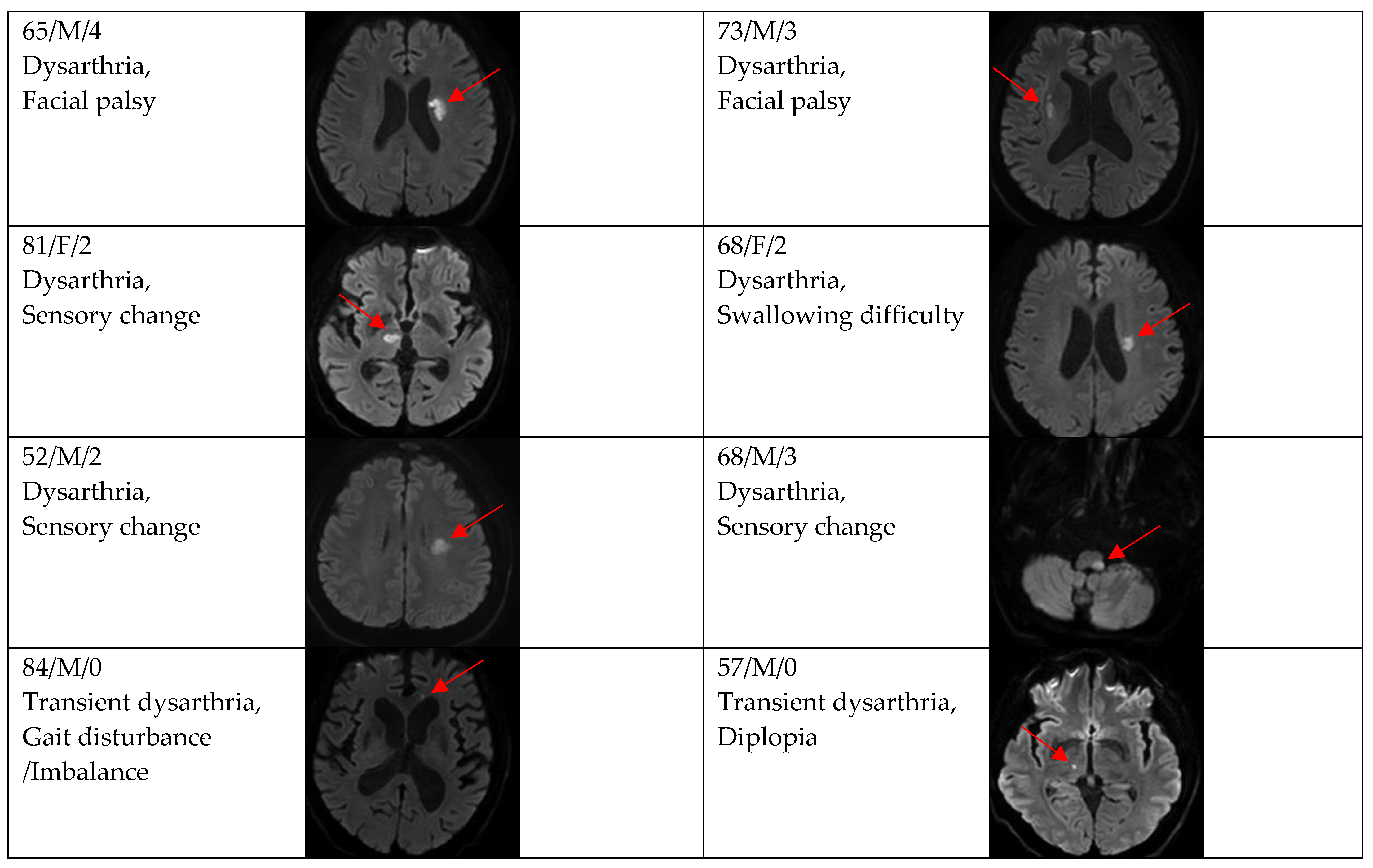 Brainsci 12 01047 g003b