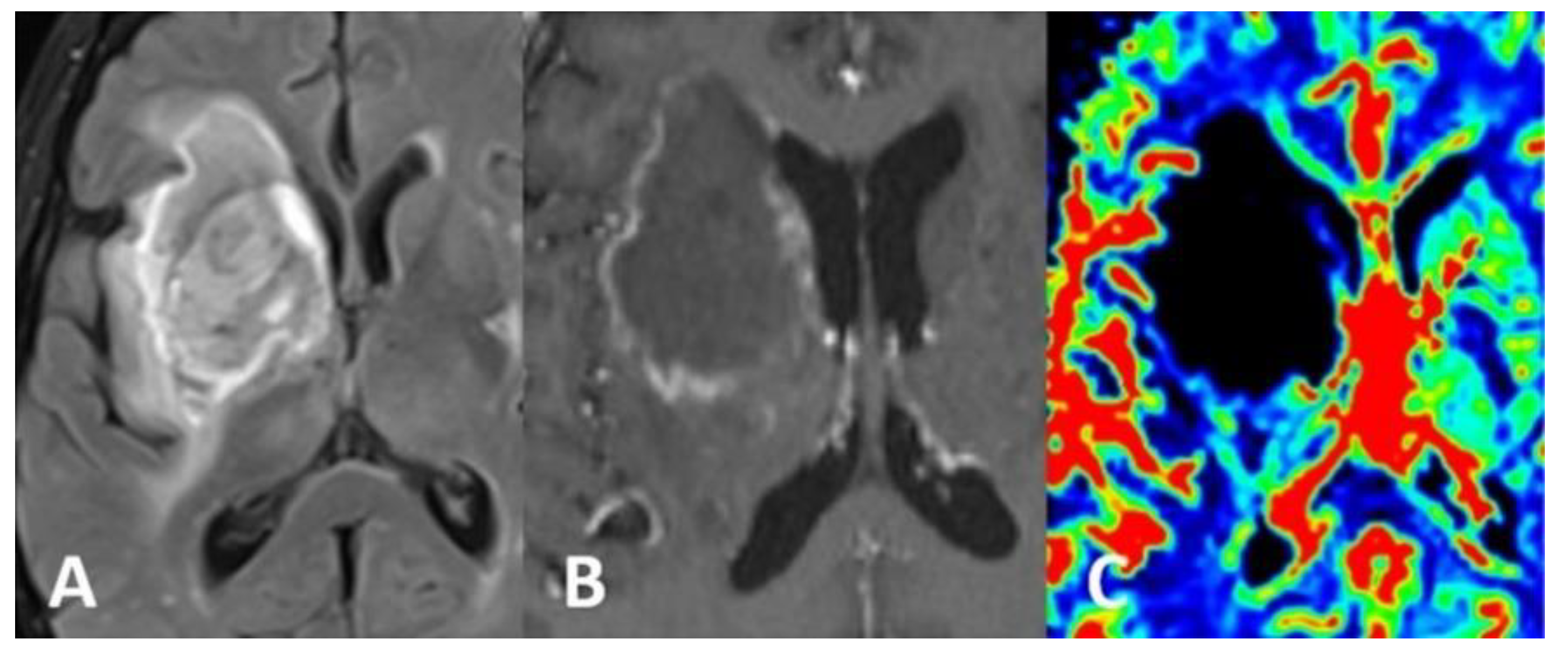 Brainsci 12 01050 g002