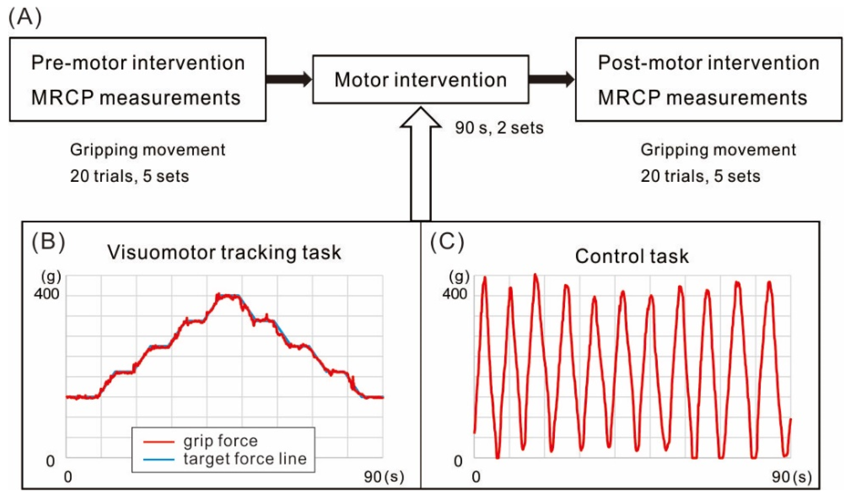 Brainsci 12 01063 g001 Brainsci 12 01063 g001