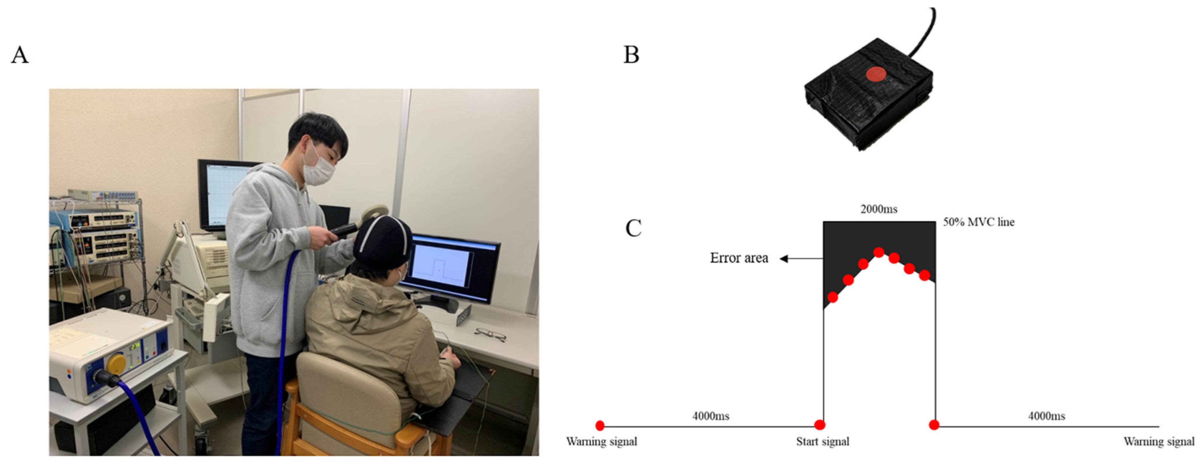 Brainsci 12 01087 g001
