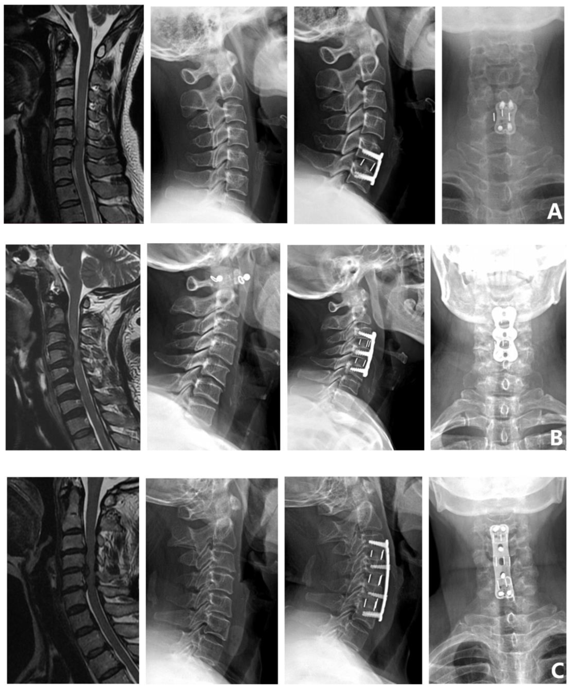 Brainsci 12 01088 g002a