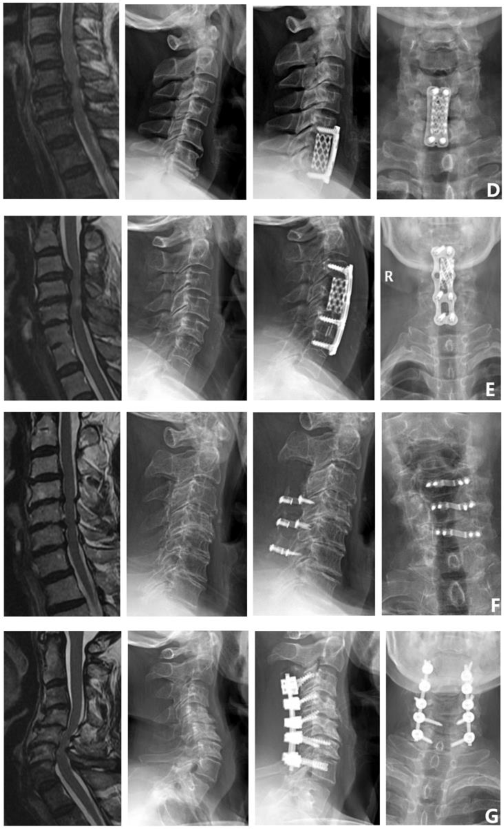 Brainsci 12 01088 g002b
