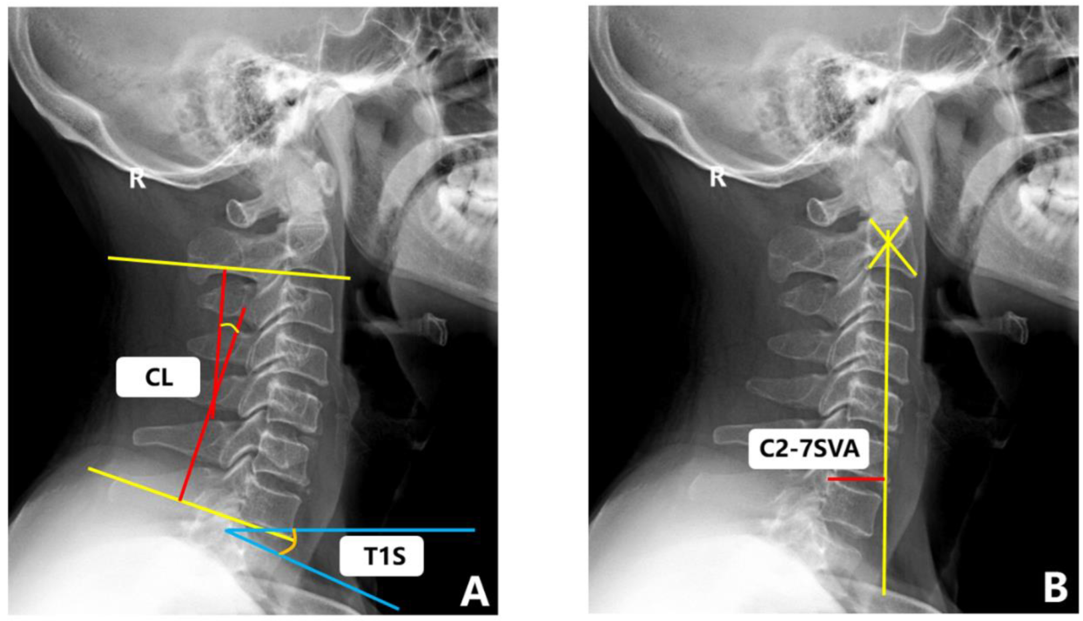 Brainsci 12 01088 g004