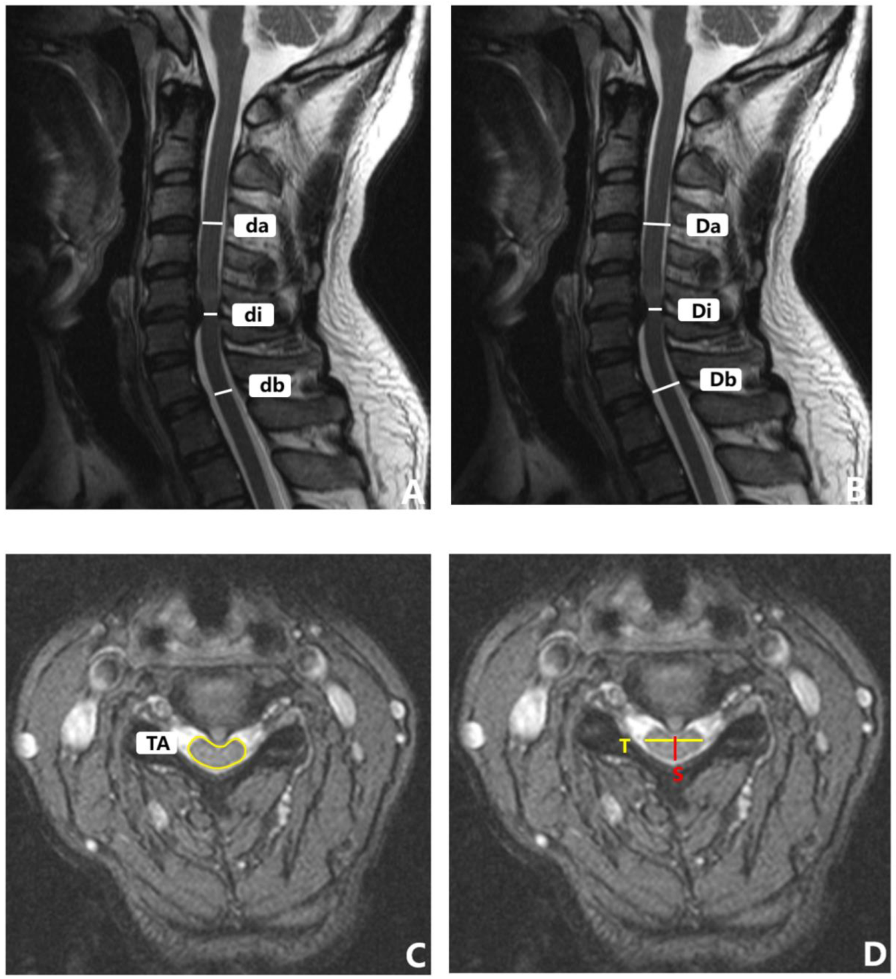 Brainsci 12 01088 g005