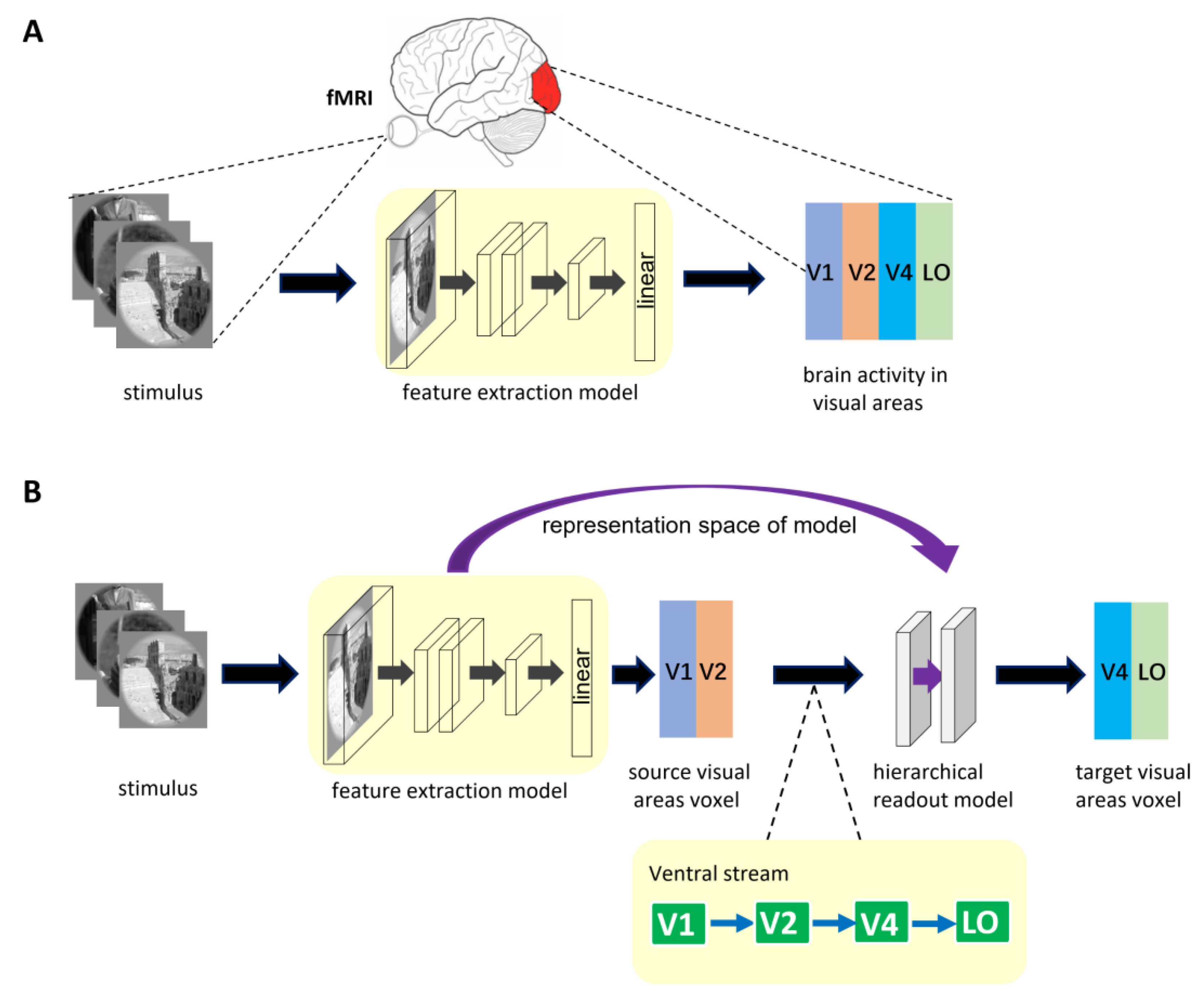 Brainsci 12 01101 g001 Brainsci 12 01101 g001