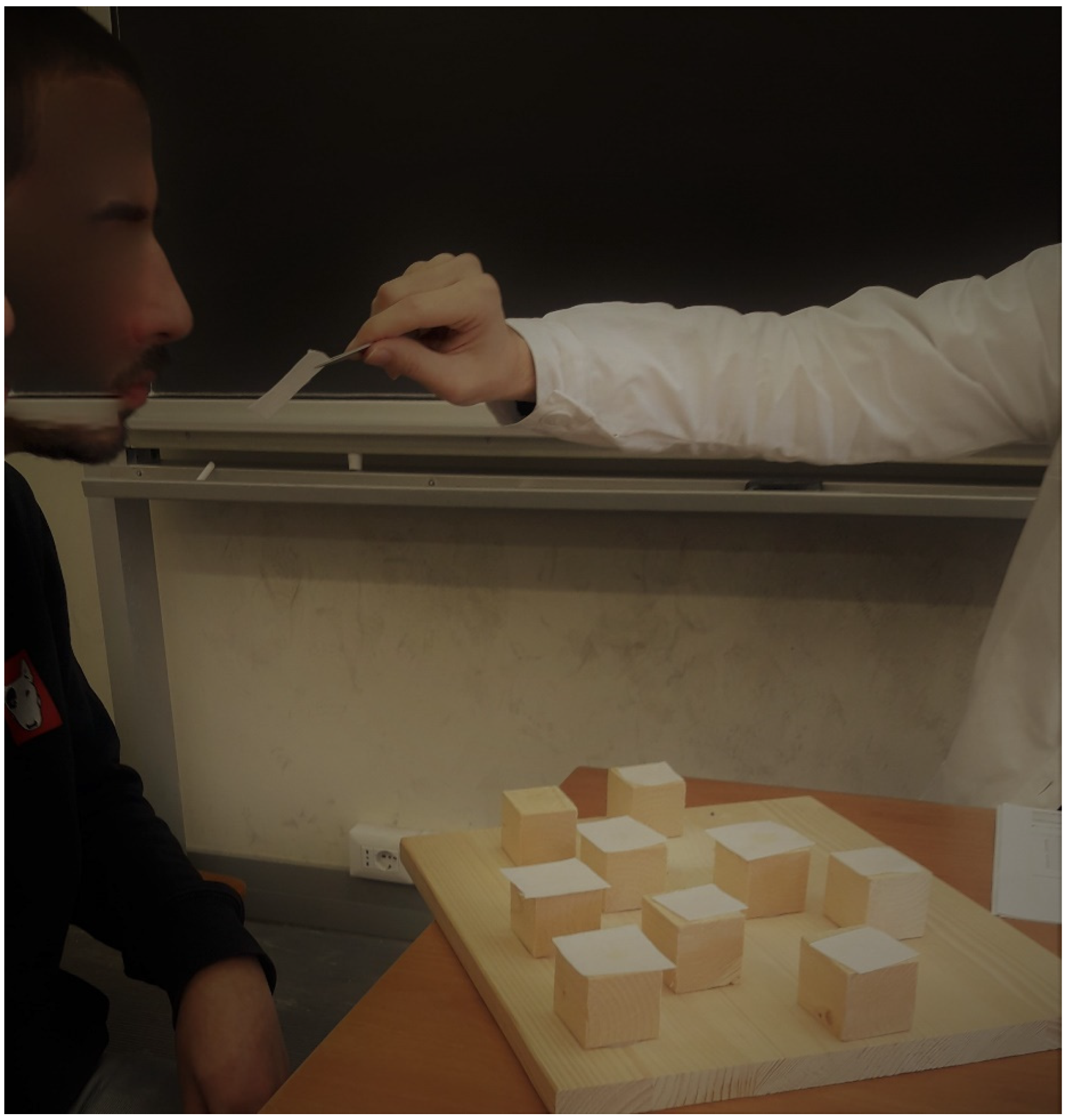 Brainsci 12 01108 g001