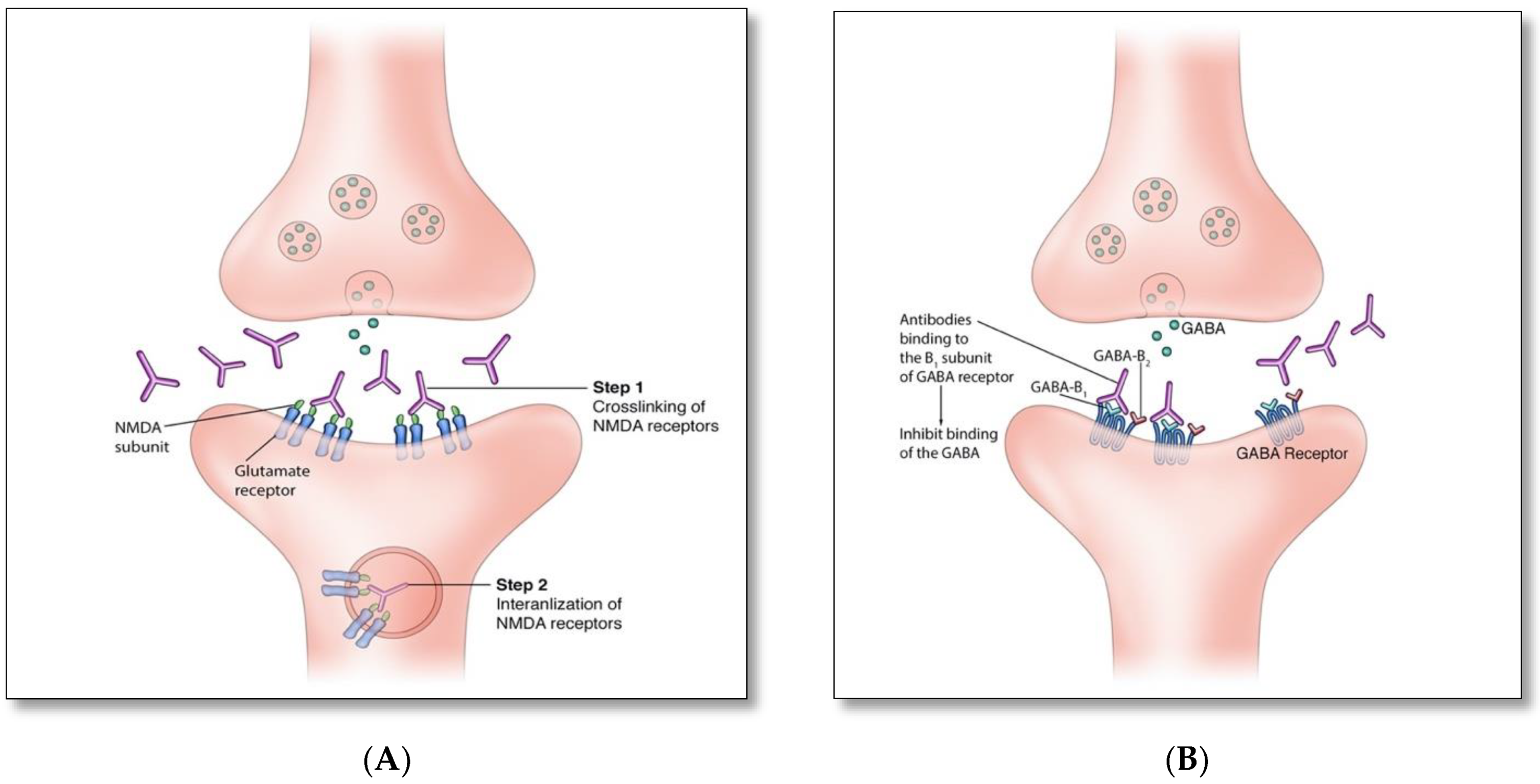 Brainsci 12 01130 g002a