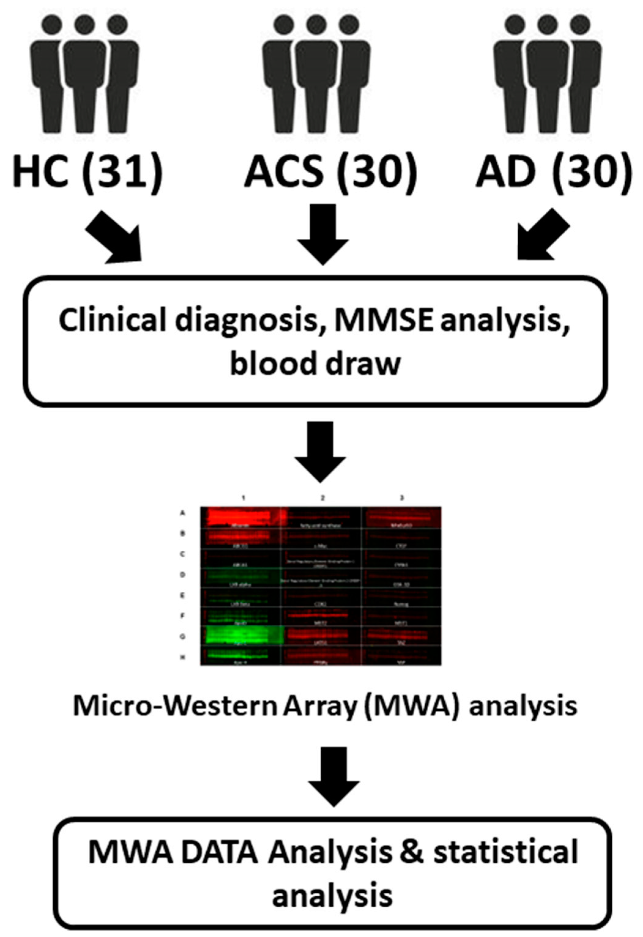 Brainsci 12 01134 g001