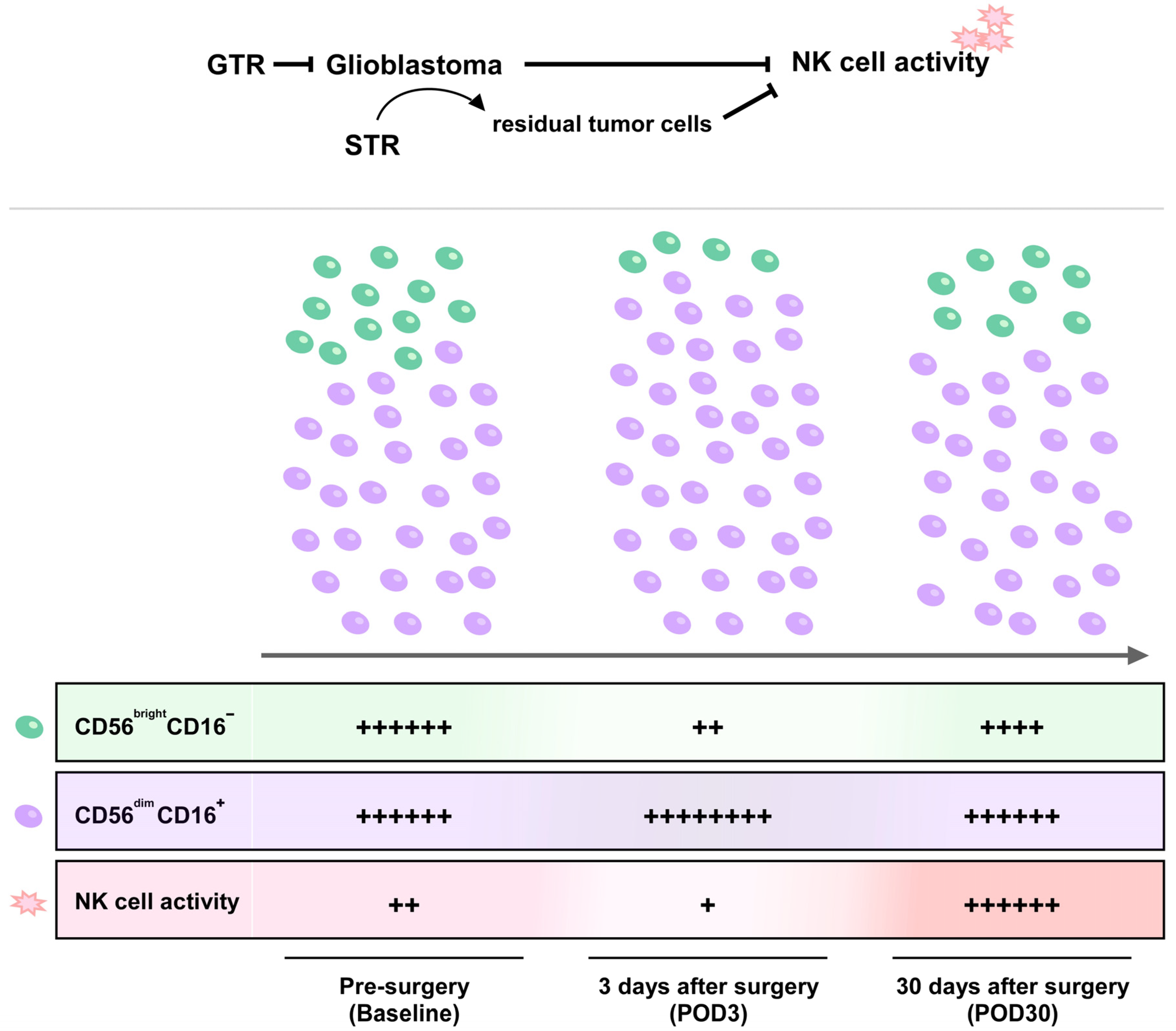 Brainsci 12 01144 g004