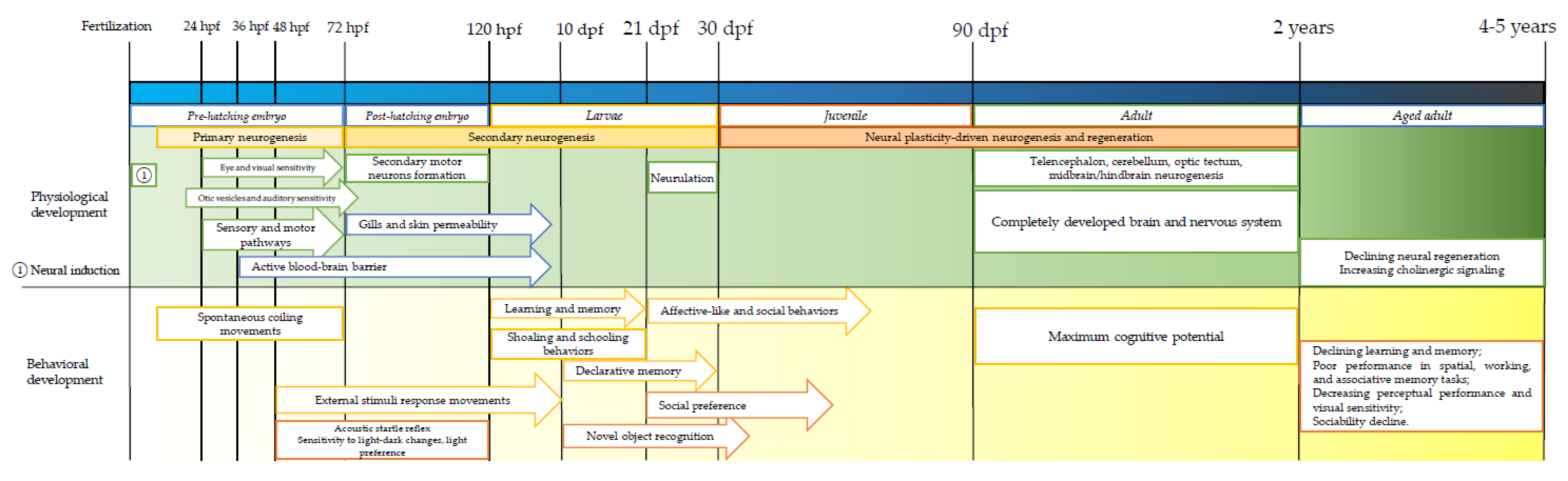 Brainsci 12 01147 g001