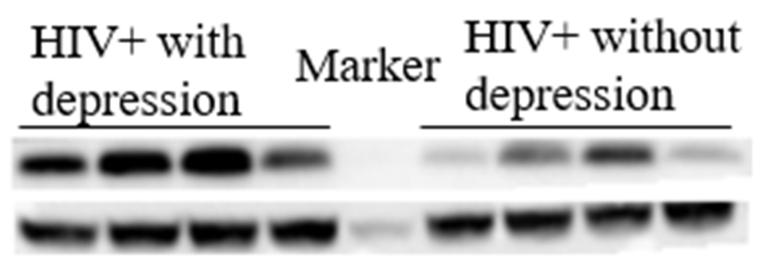 Brainsci 12 01151 g001
