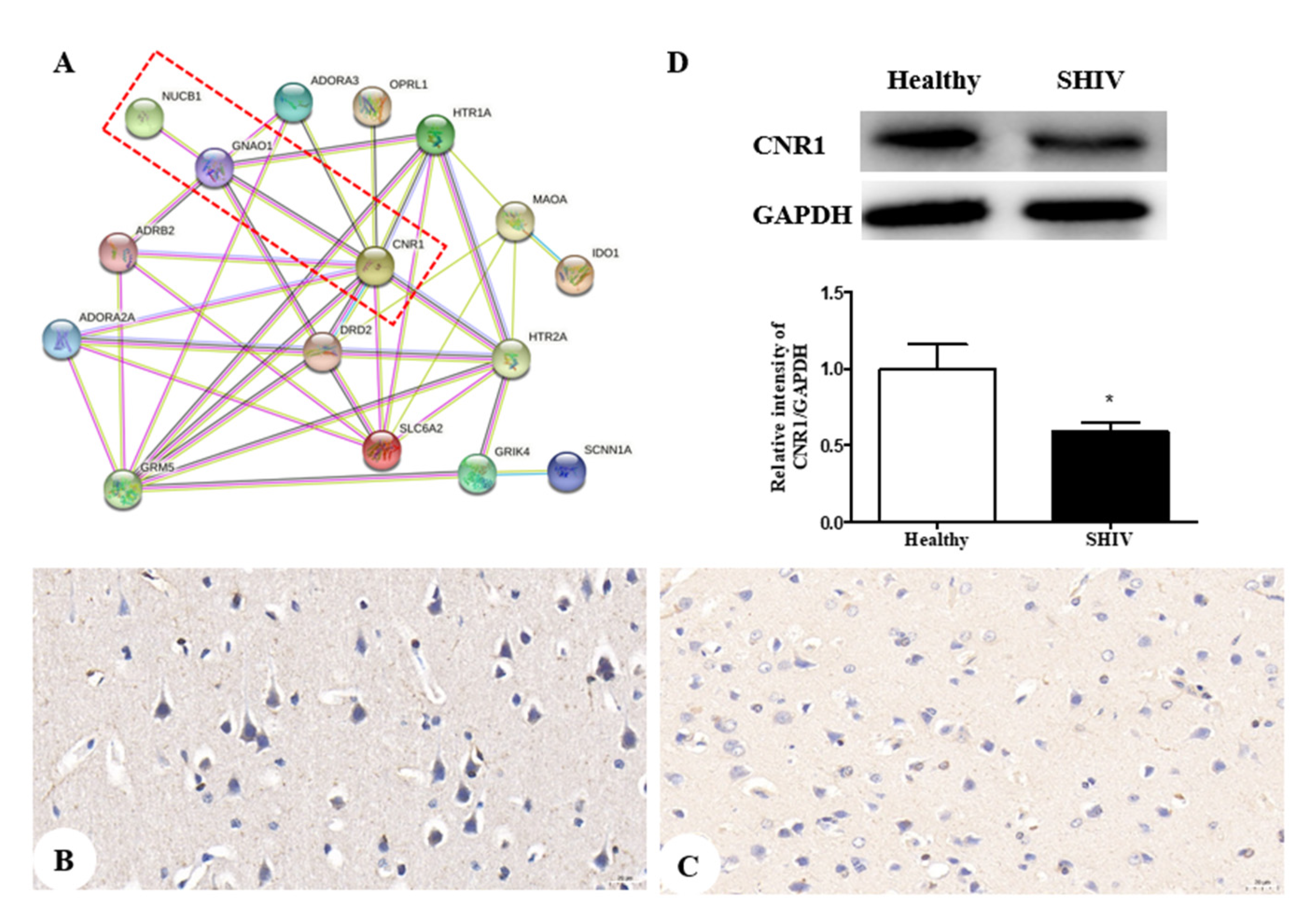 Brainsci 12 01151 g004
