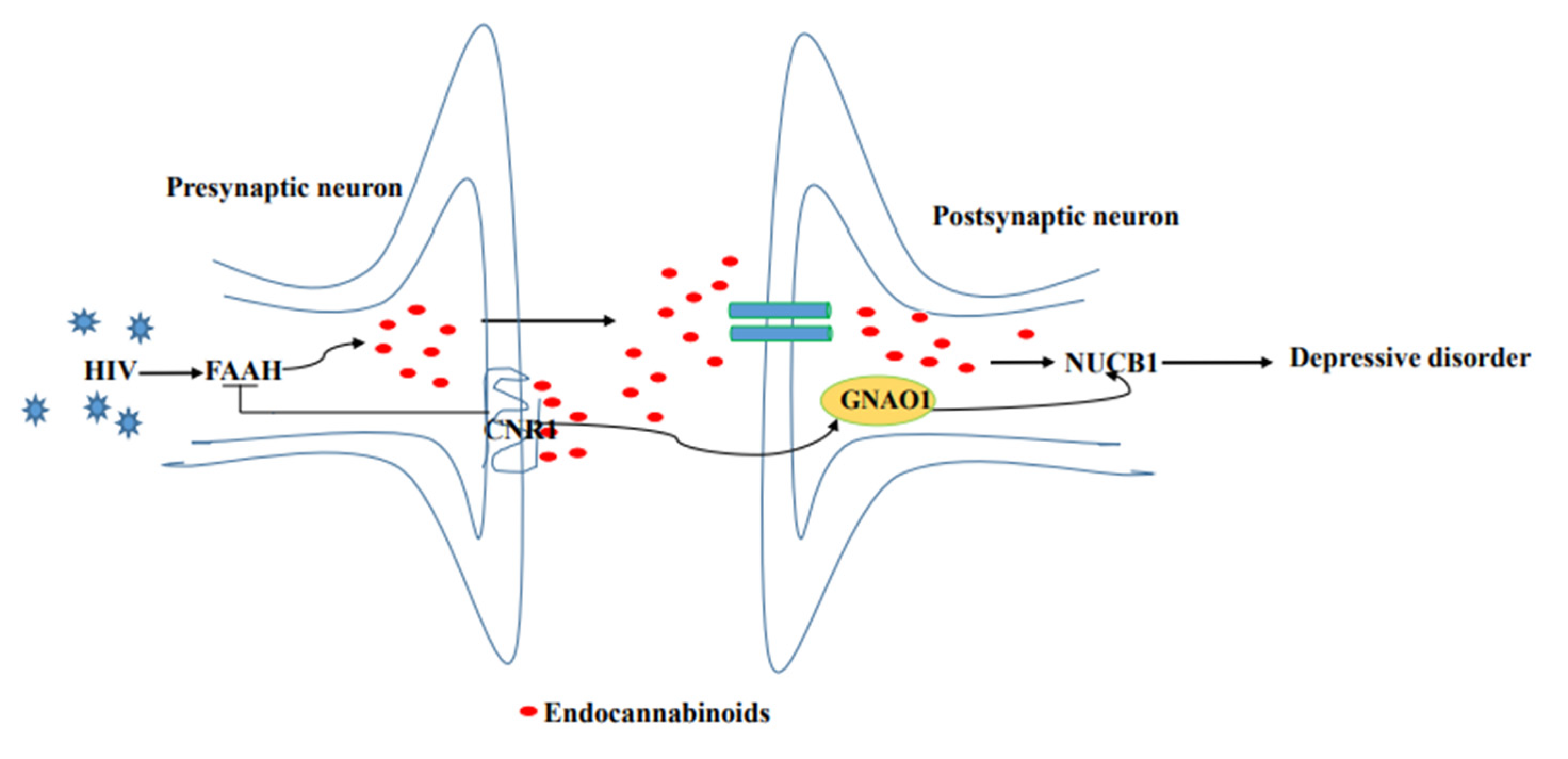 Brainsci 12 01151 g005