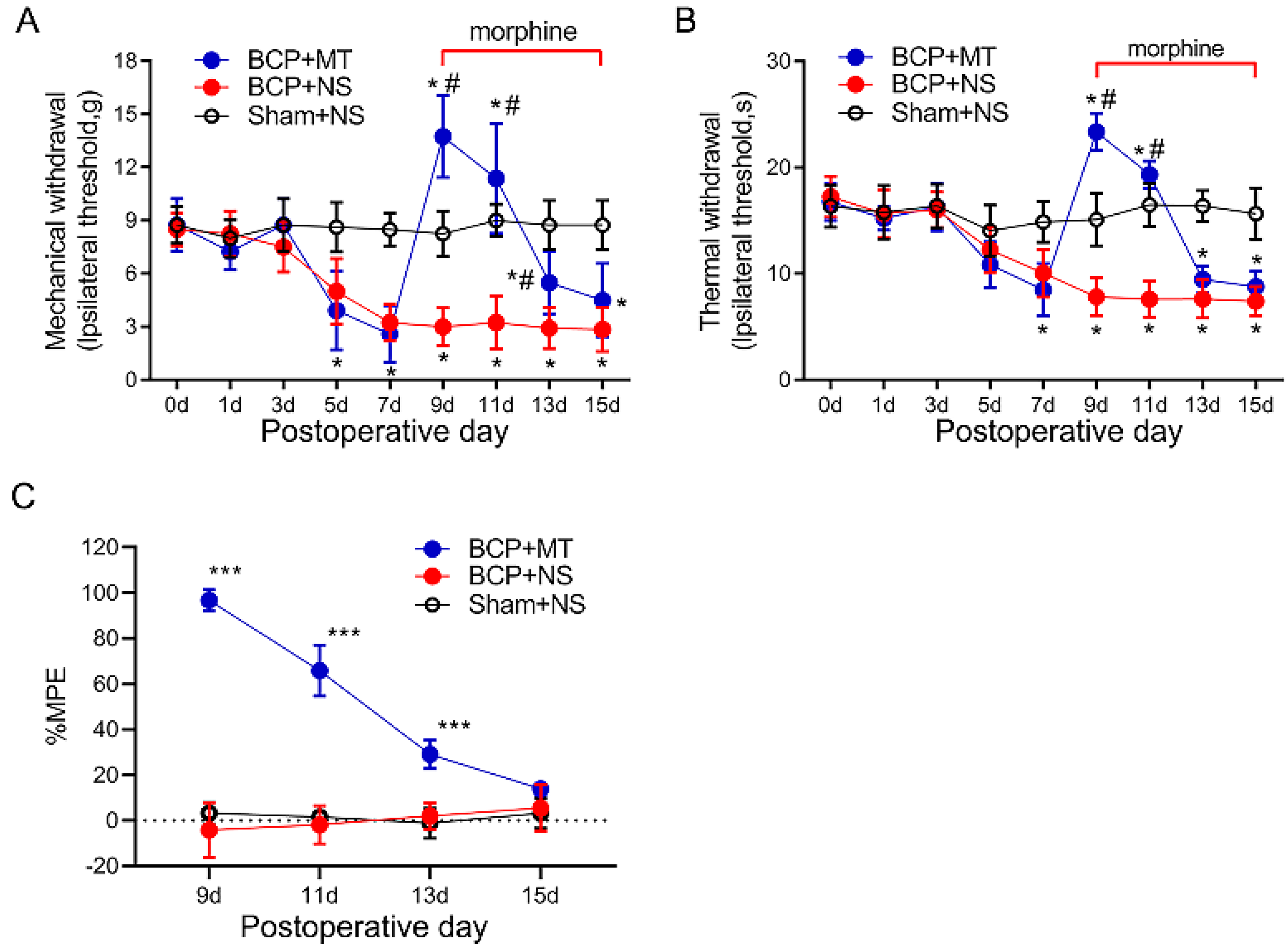 Brainsci 12 01188 g002