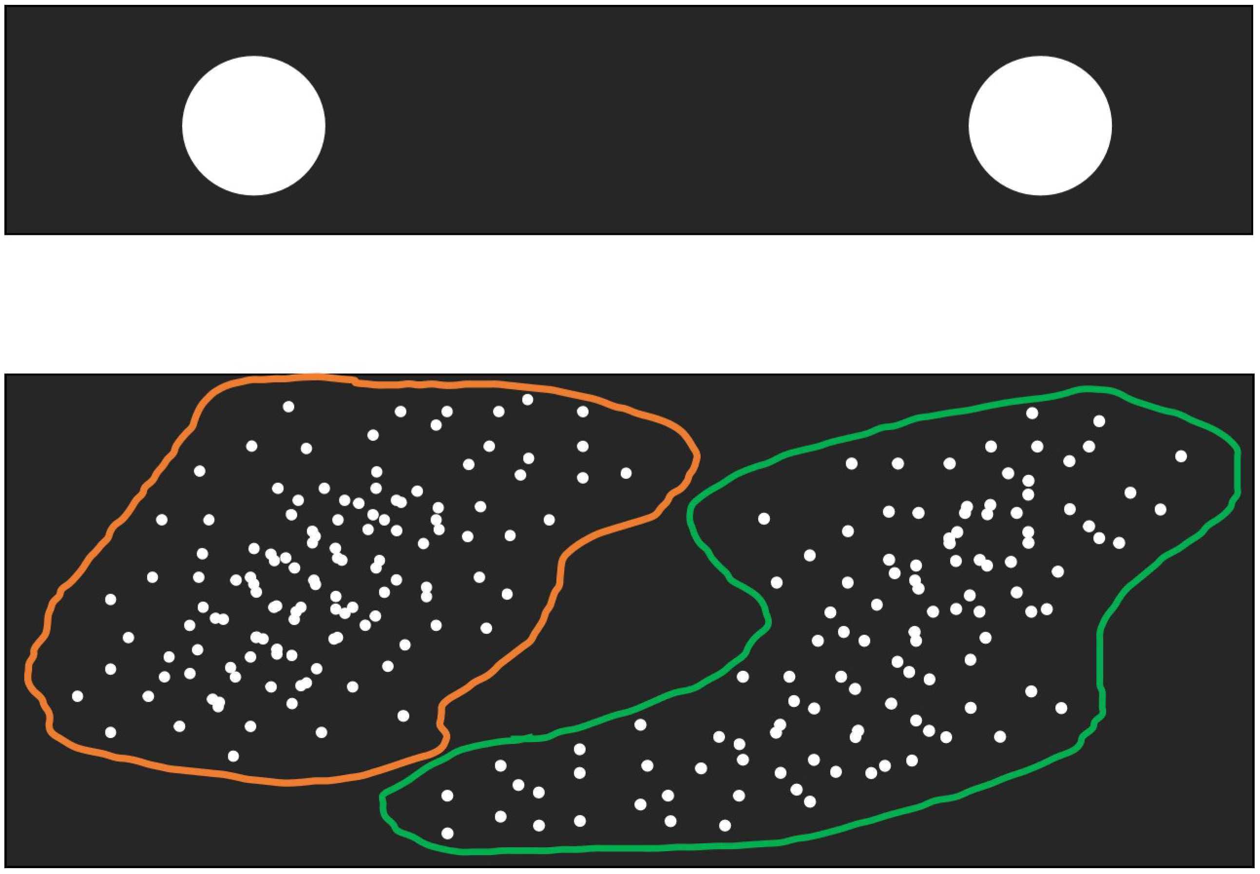 Brainsci 12 01191 g001