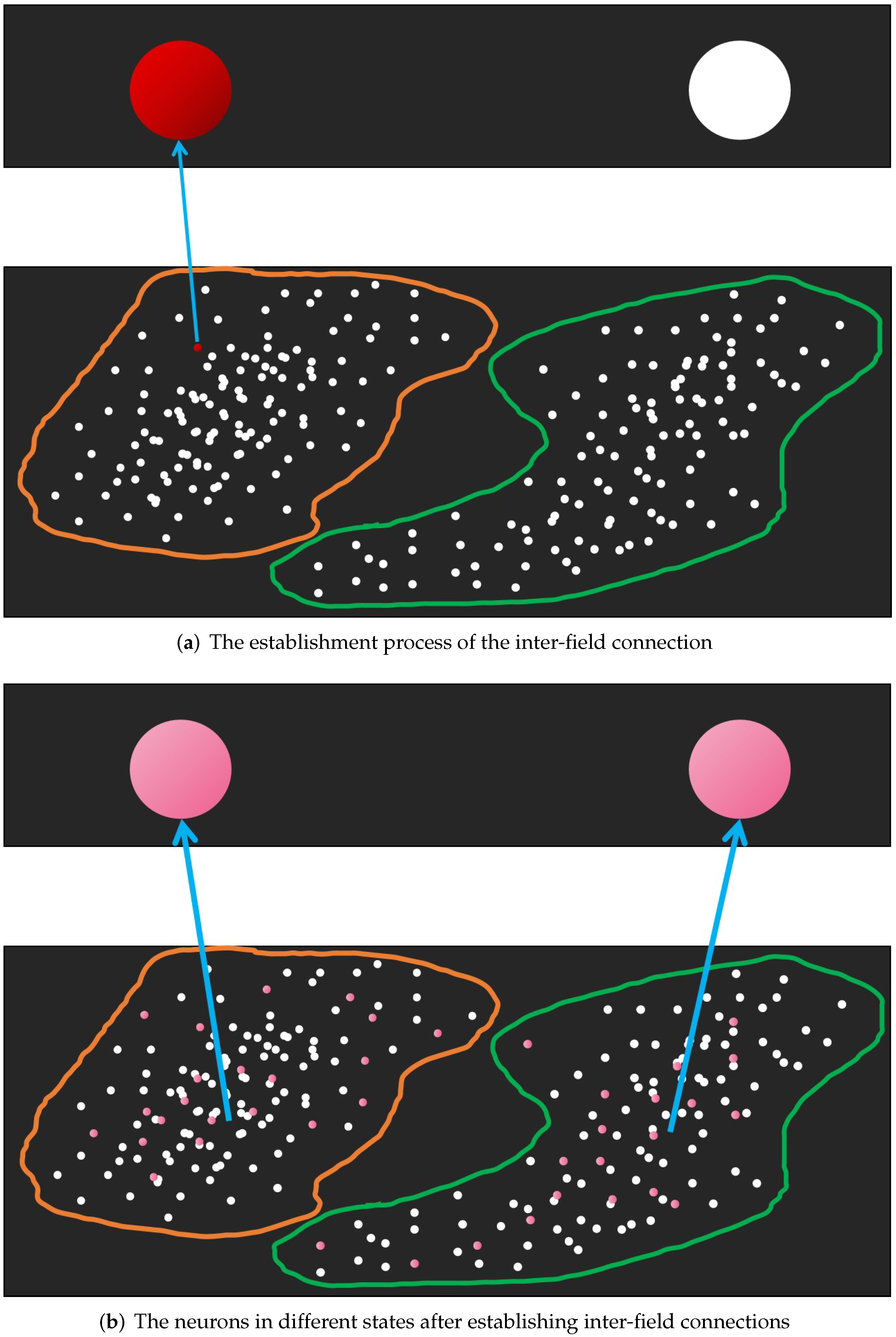 Brainsci 12 01191 g002